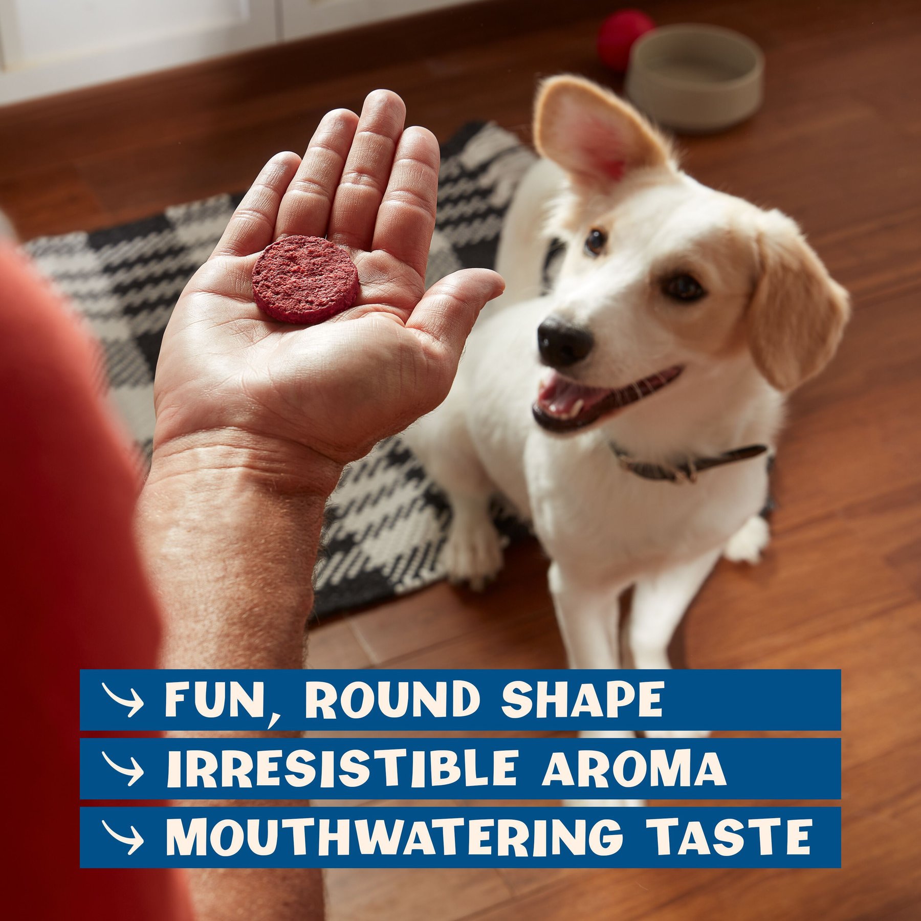 Pup-Peroni Rounds Beef Brisket Dog Treats