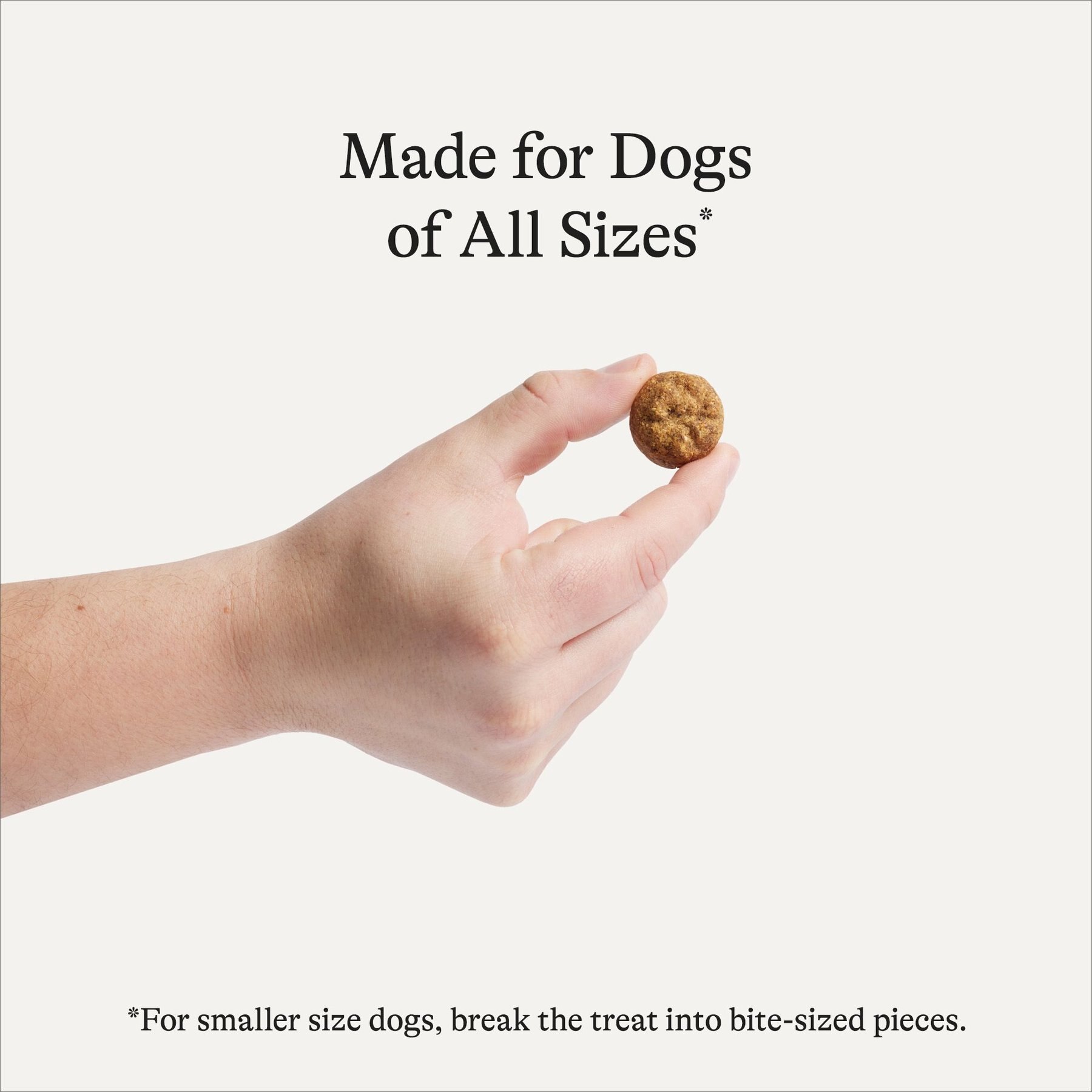 American Journey Chicken Recipe Grain-Free Oven Baked Crunchy Biscuit Dog Treats