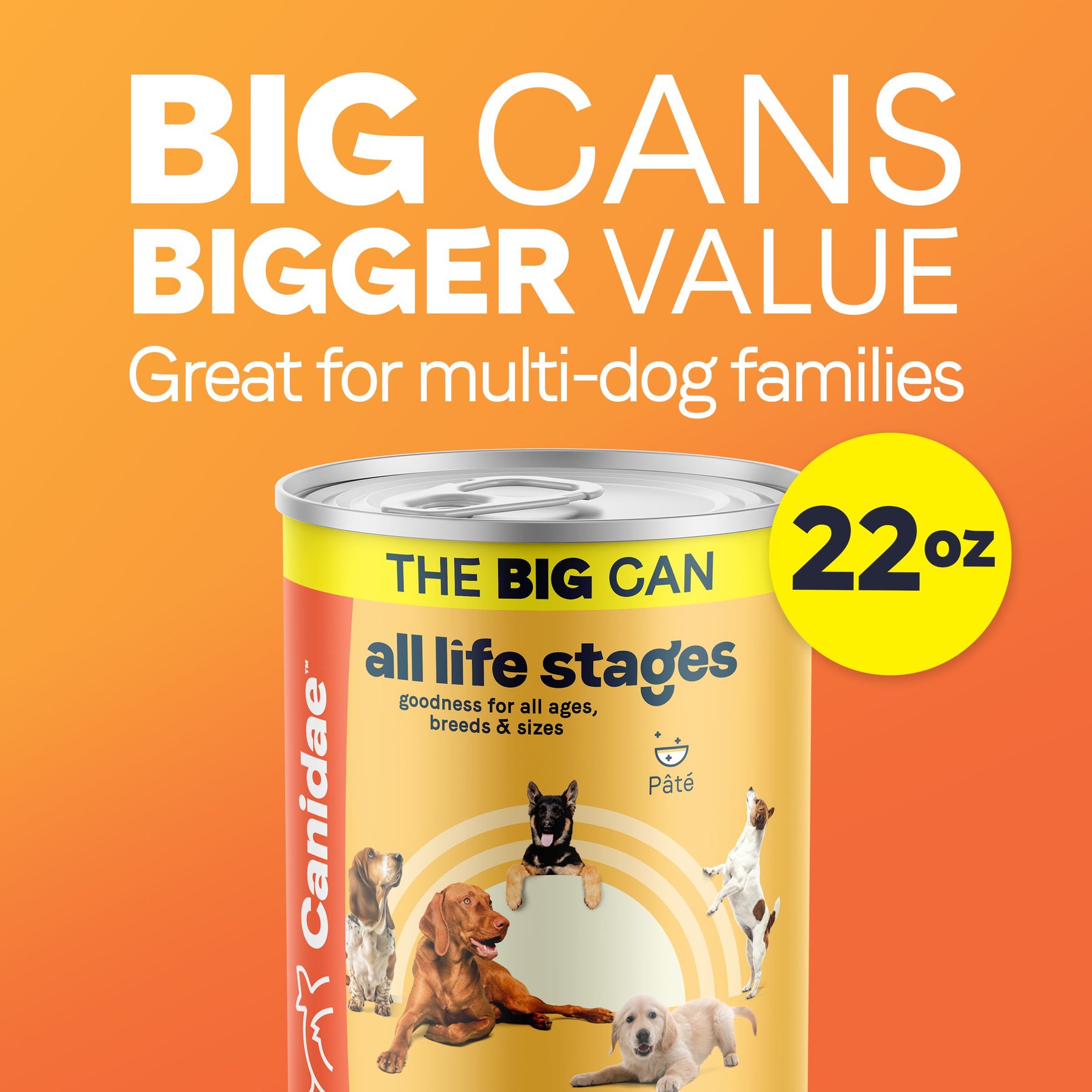 CANIDAE All Life Stages Formula Chicken & Rice Wet Dog Food, 22-oz can, case of 12