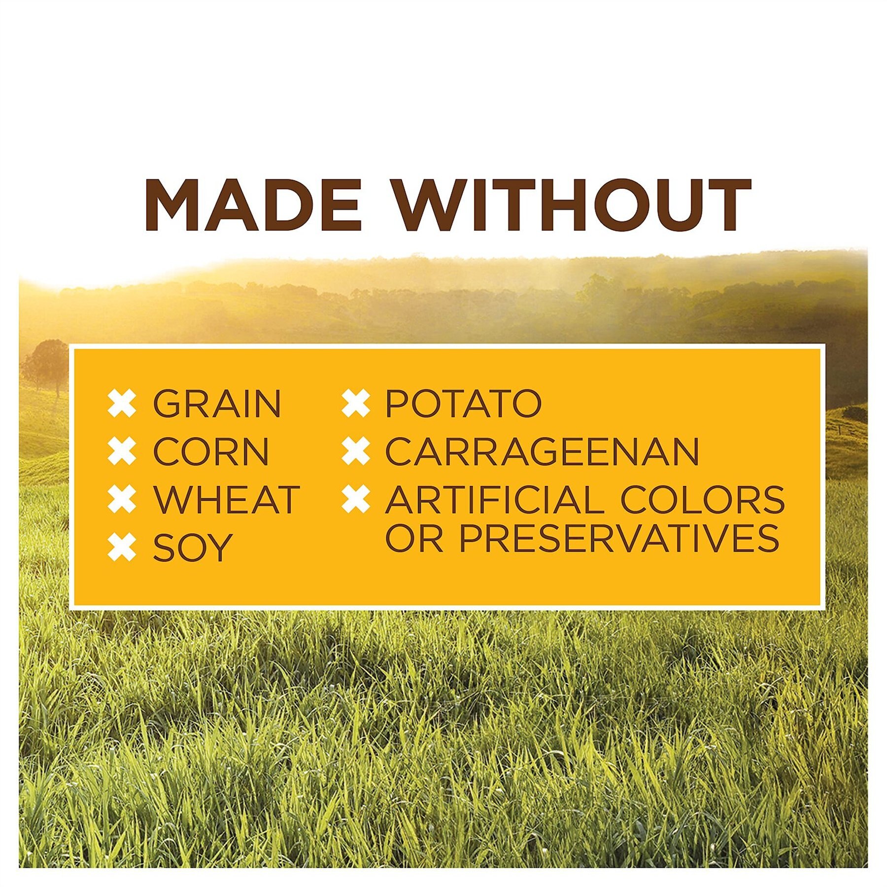 Instinct Original Adult Grain-Free Real Chicken Recipe Wet Dog Food
