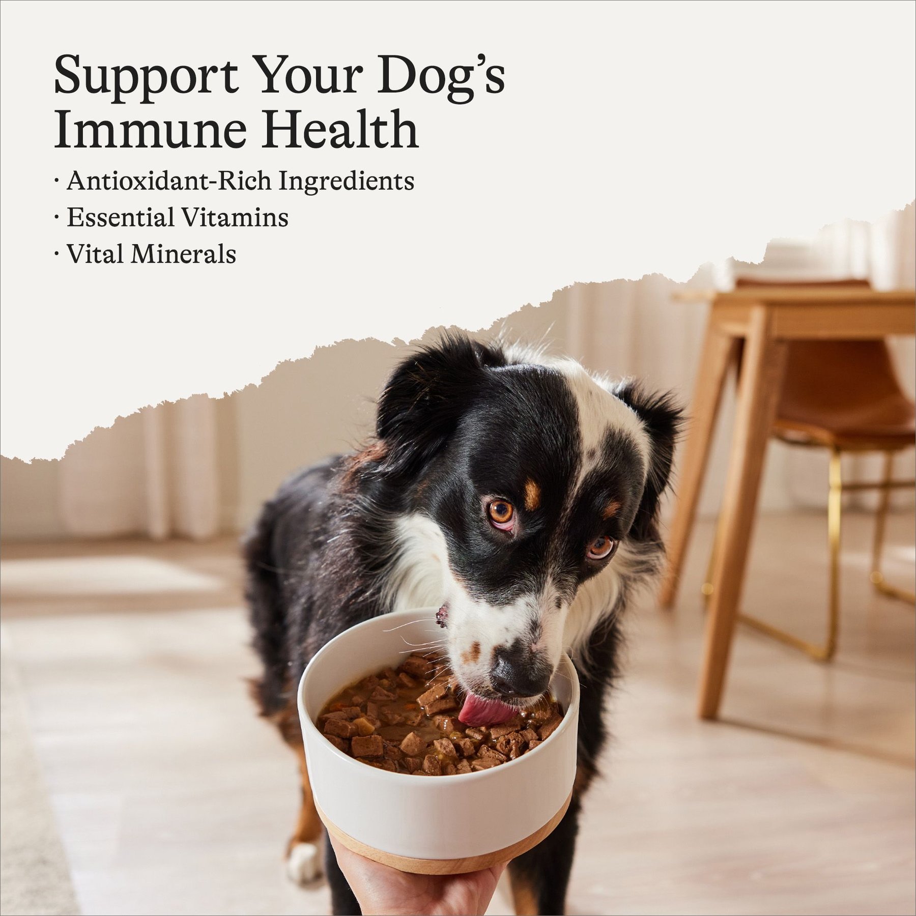 American Journey Stews Beef & Vegetables Recipe in Gravy Grain-Free Canned Dog Food