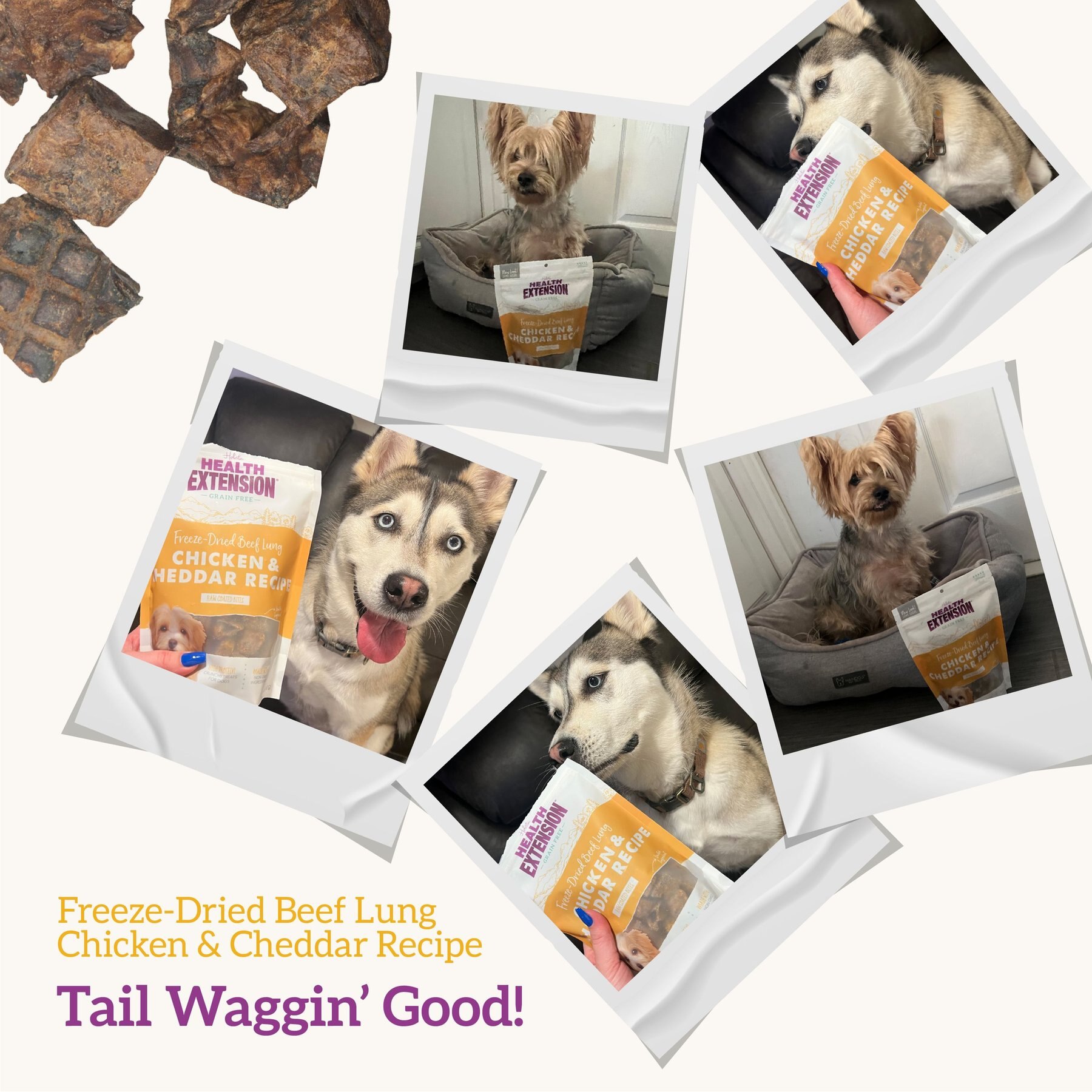 Health Extension Bully Puffs Grain-Free Chicken & Cheddar Cheese Dog Treats