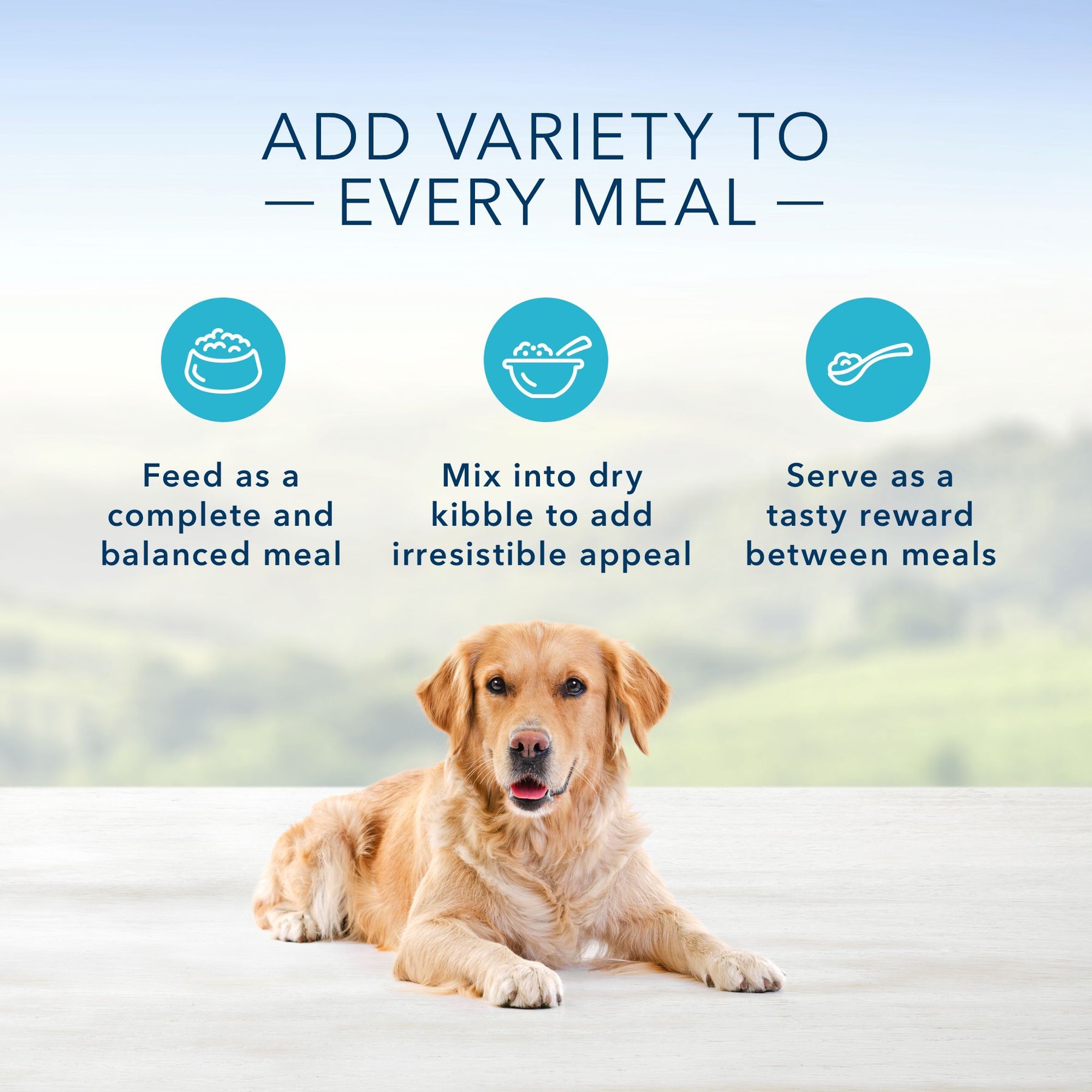 Blue Buffalo Blue’s Stew Hearty Beef Stew Grain-Free Canned Dog Food