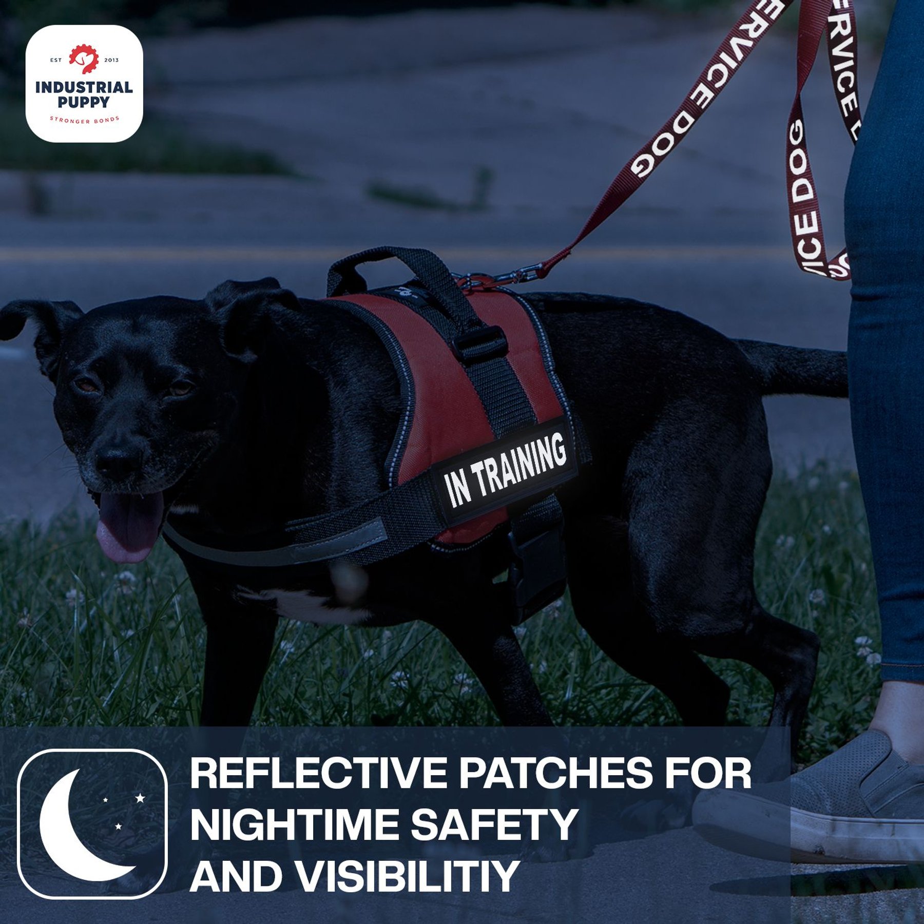 Industrial Puppy Dog In Training Patches, 2 count