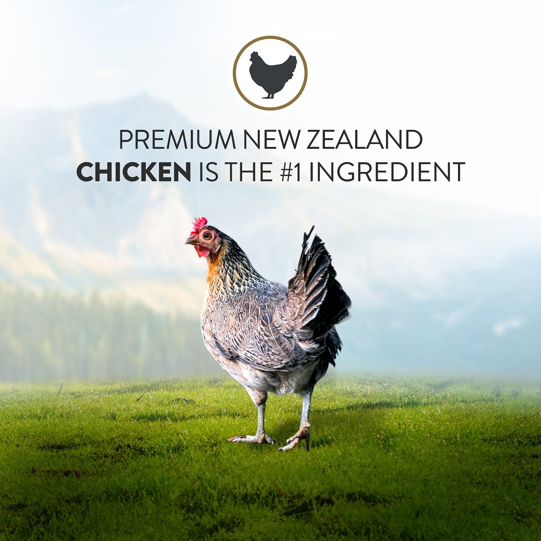 Addiction Meaty Bites Chicken Grain-Free Dog Treats