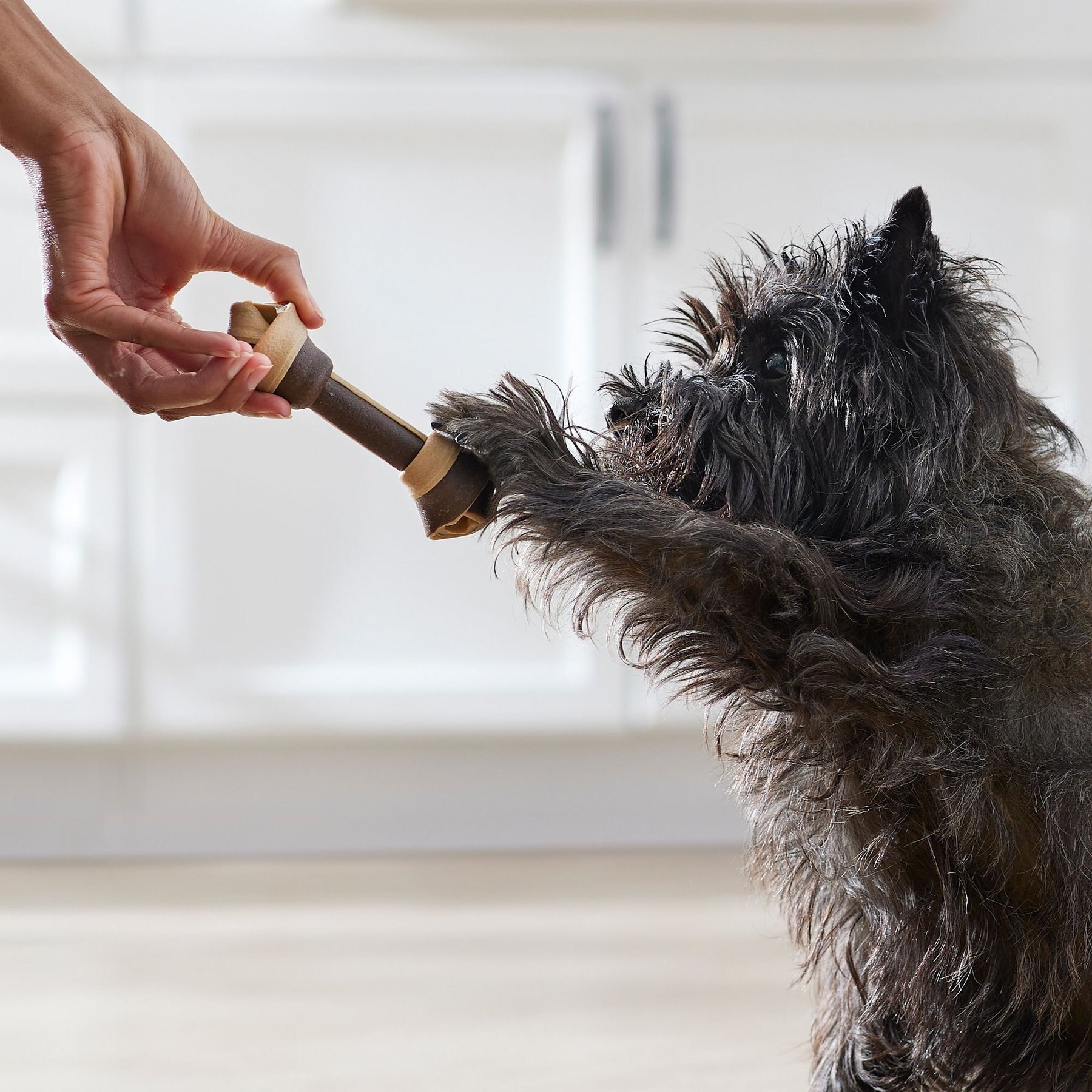 True Acre Foods, Rawhide-Free, Knotted Bones, with Natural Peanut Butter Flavor Dog Treats