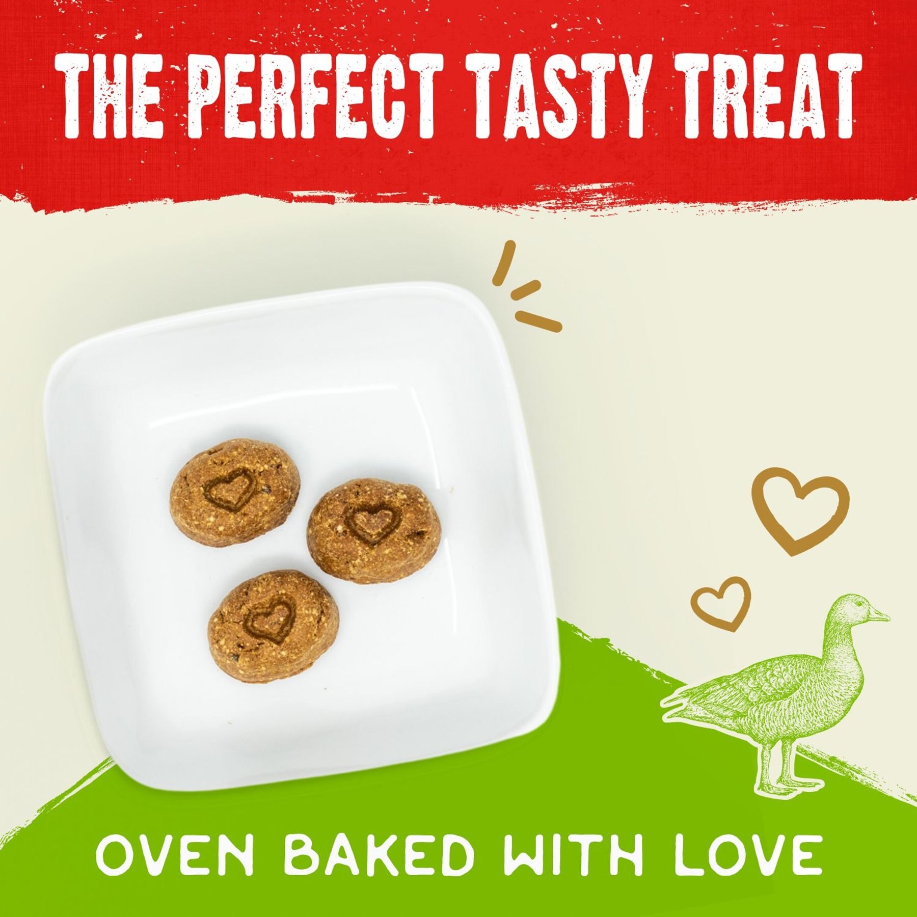 Stella & Chewy's Raw Coated Biscuits Cage-Free Duck Recipe Freeze-Dried Grain-Free Dog Treats
