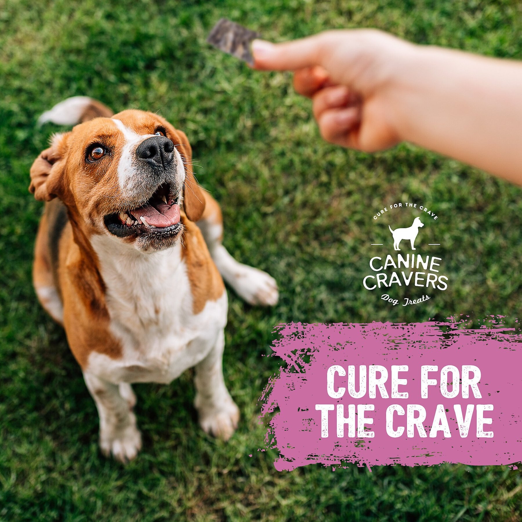 Canine Cravers Tender Pork Thins Dehydrated Dog Treats, 5.3-oz pouch