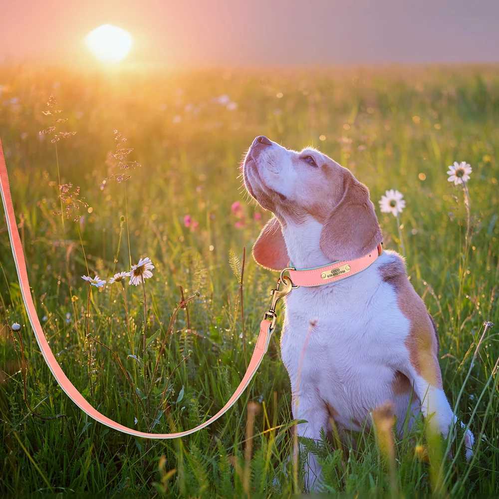 Personalized Dog ID Collar With Leash Soft Padded PU Leather Dogs Collar and Leash Set Anti-lost Tag For Small Medium Large DogsXJ241114