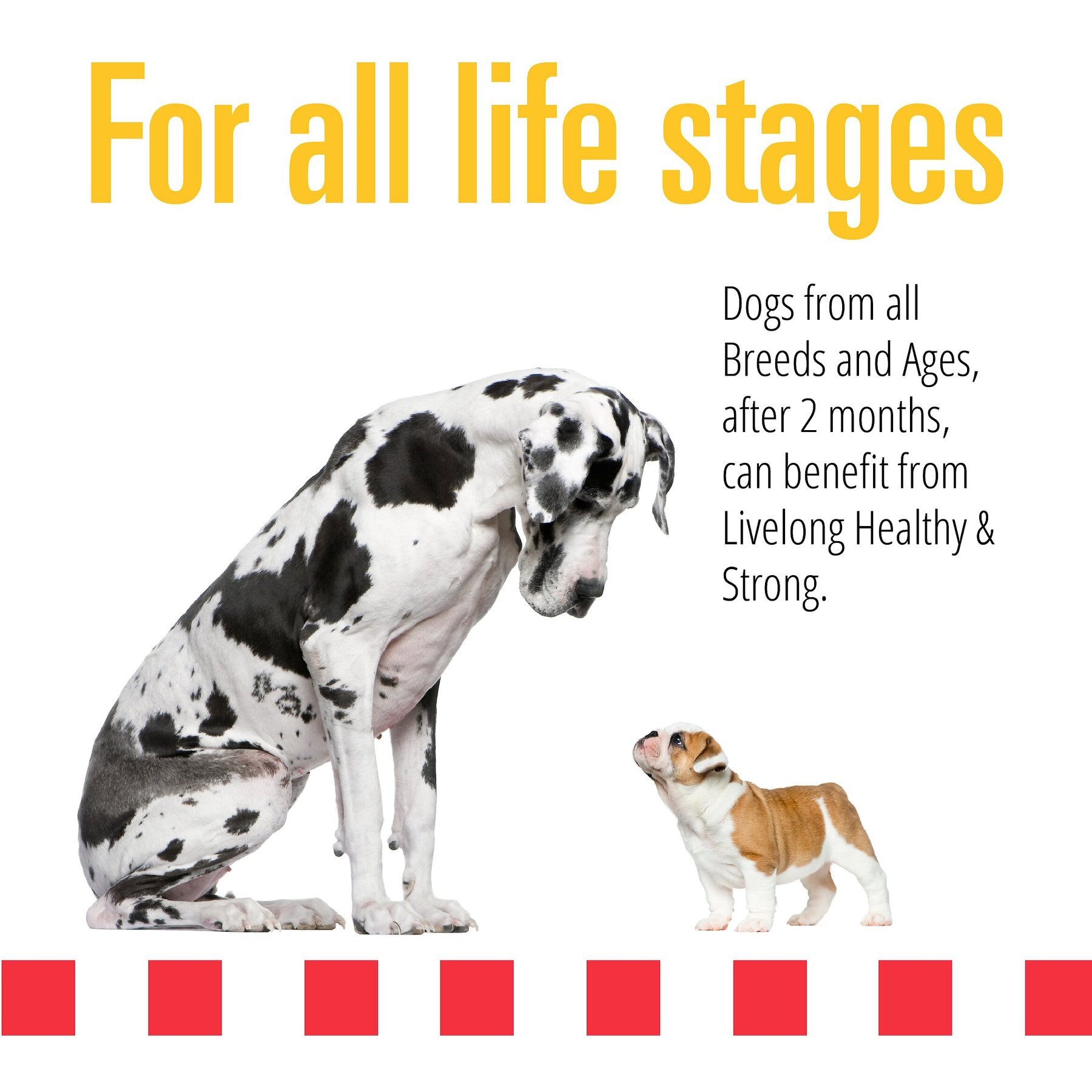 Livelong Healthy & Strong Duck & Sweet Potato Recipe Wet Dog Food, 12.5-oz can, case of 12