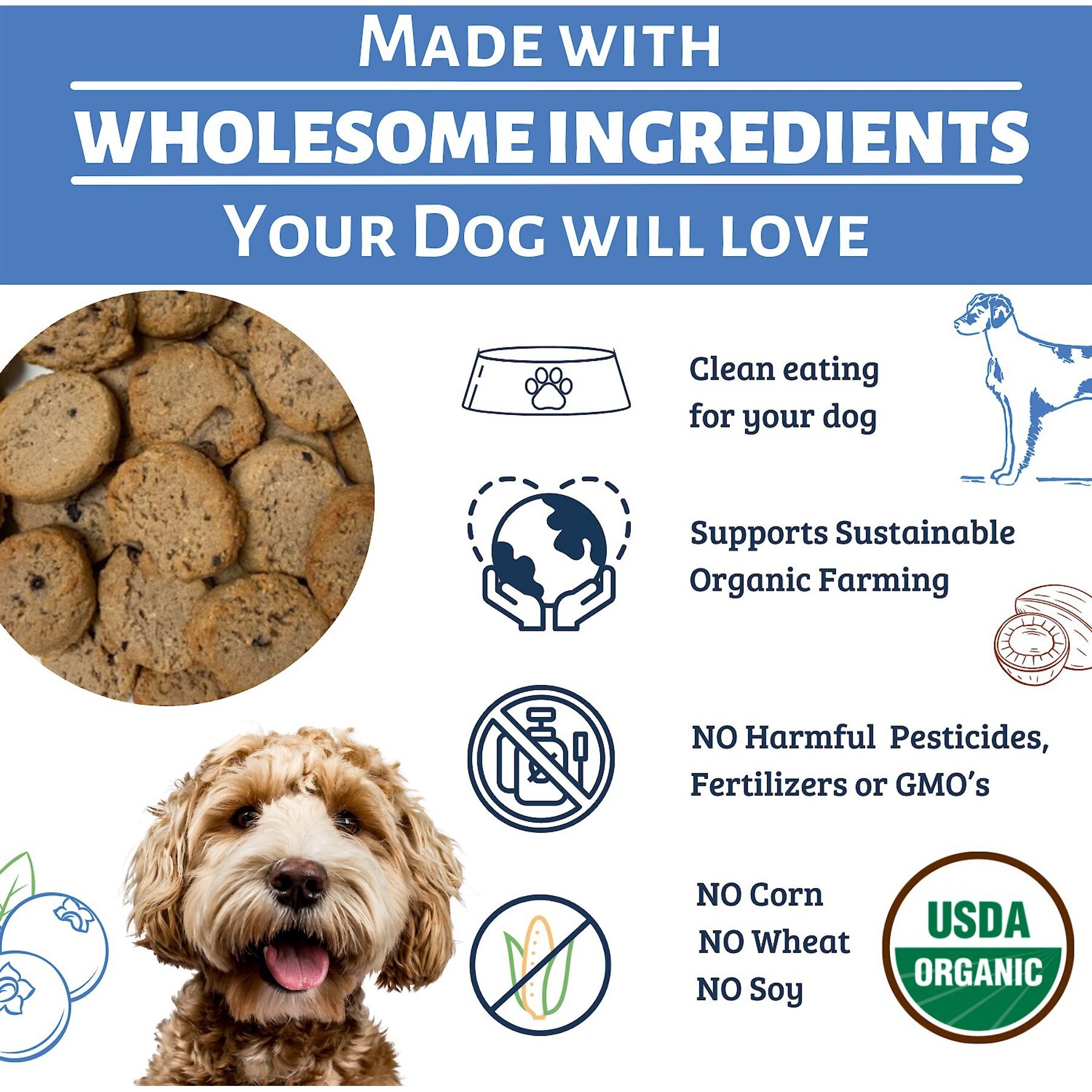 Dog Mamma’s Organic Berry Banana Coco Chunk Dog Treats