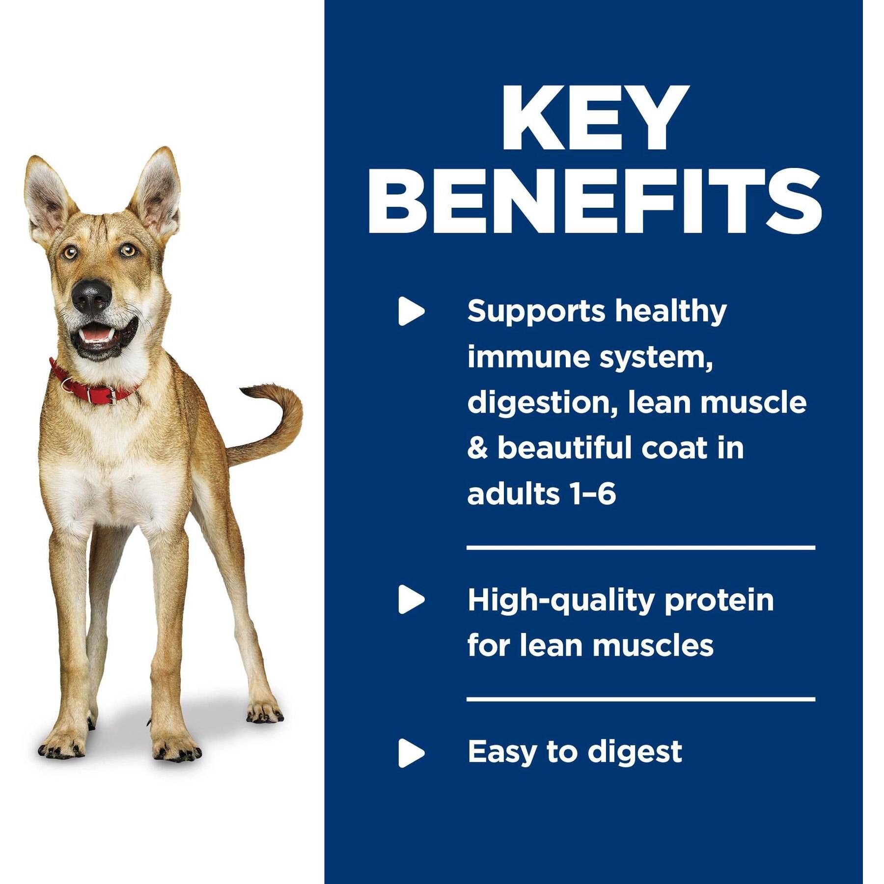 Hill's Science Diet Adult Chicken& Beef Entree Canned Dog Food
