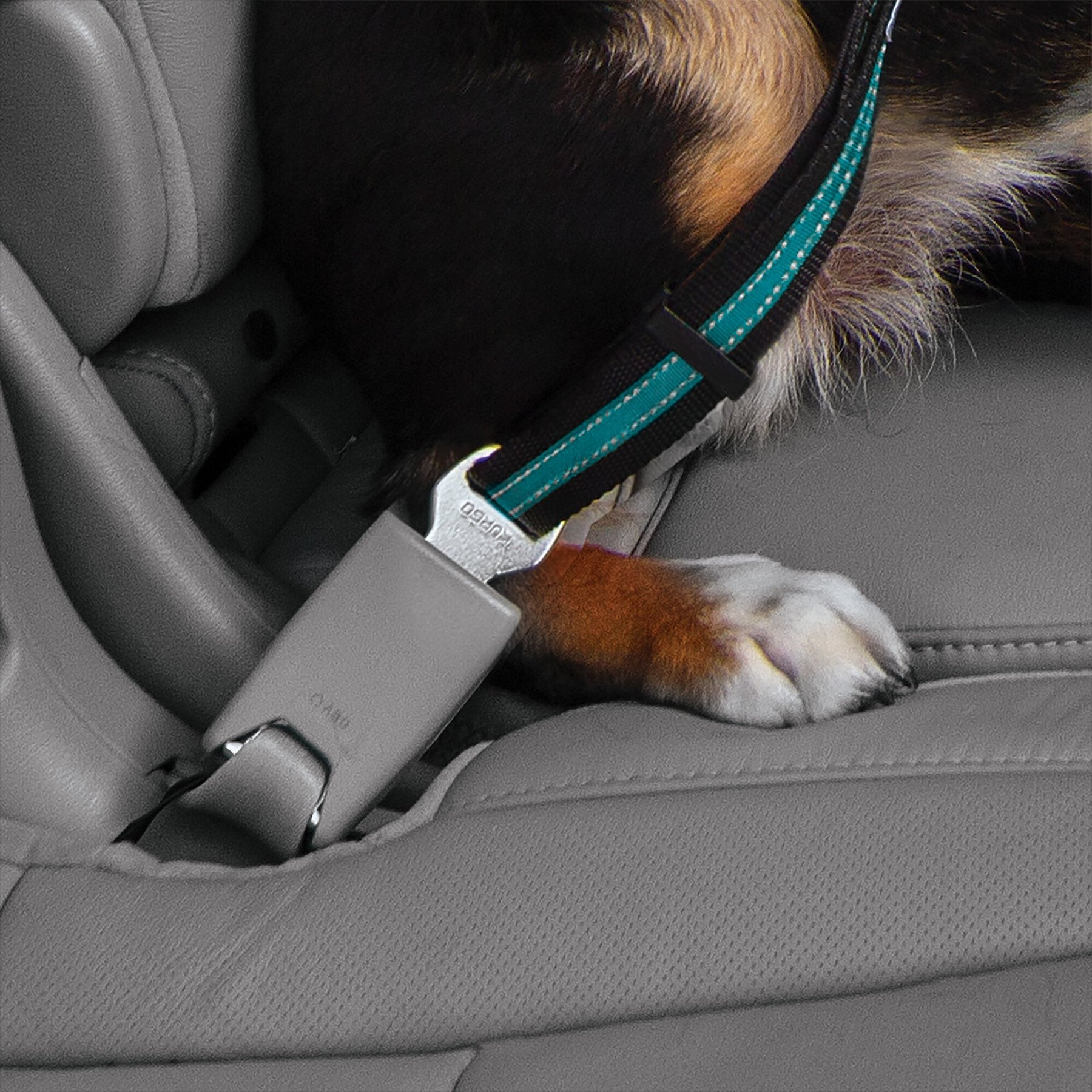 Kurgo Direct to Seatbelt Swivel Dog Collar Tether