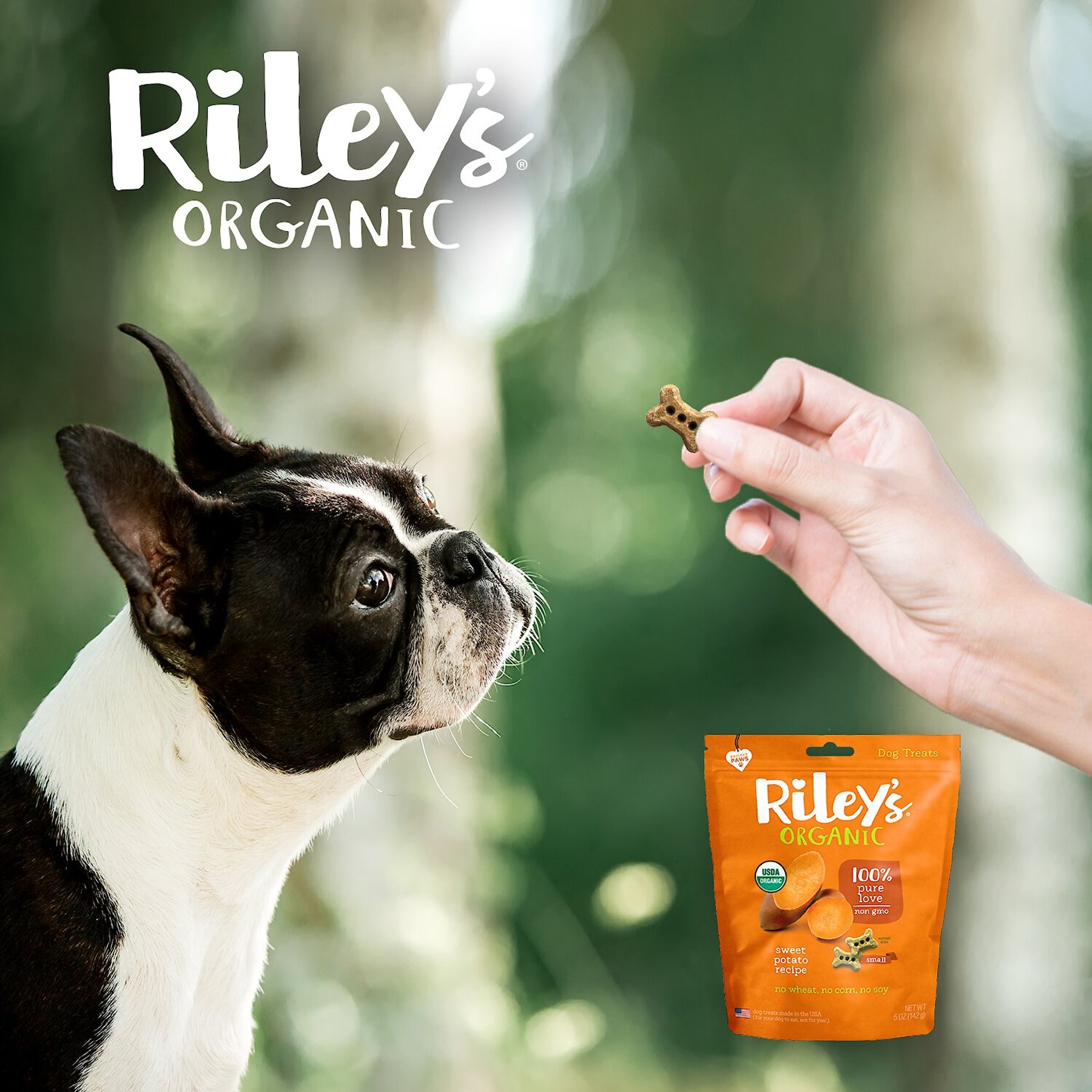 Riley's Sweet Potato Recipe Biscuit Dog Treat, 5-oz bag, Small