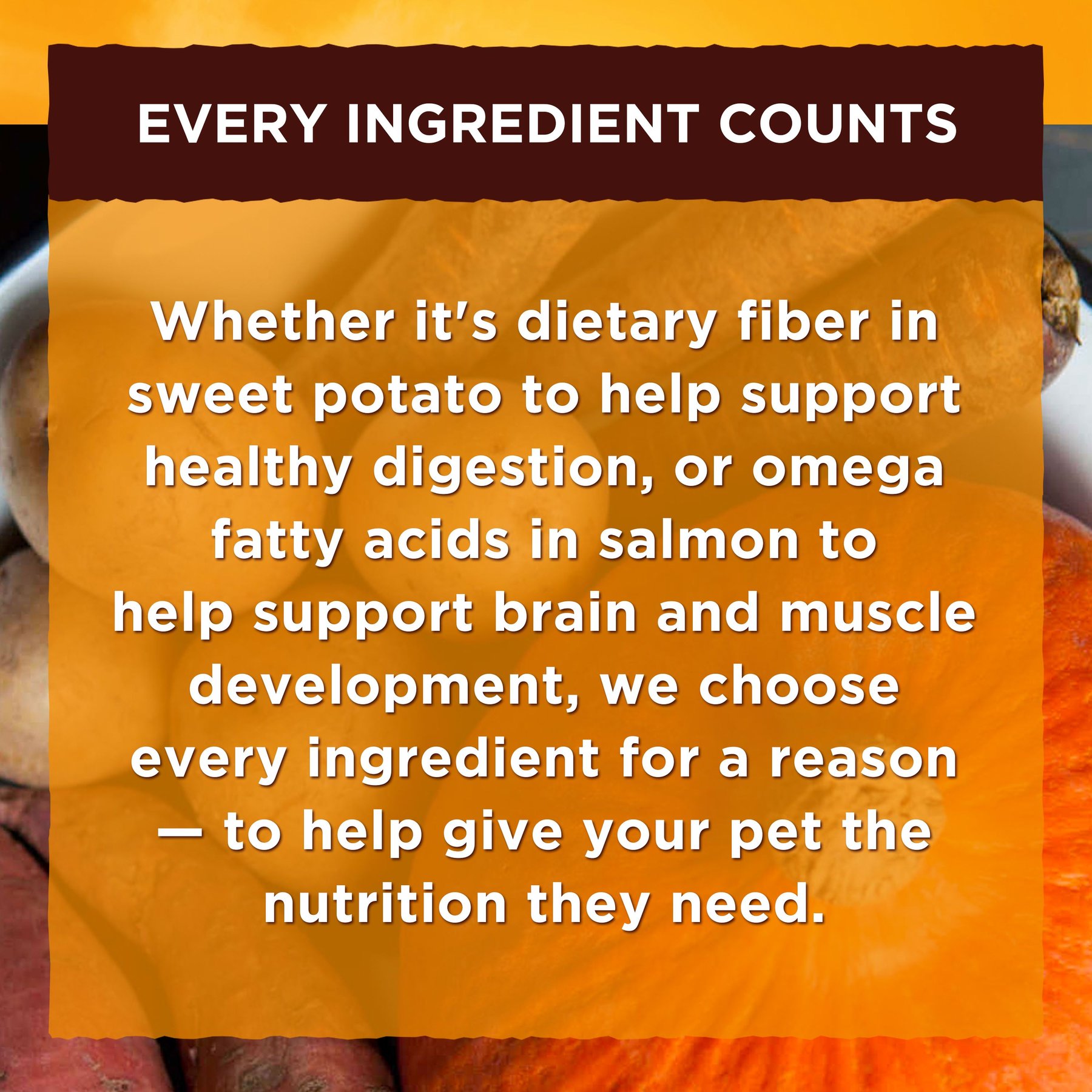 Nature's Recipe Chicken & Turkey in Broth Recipe Grain-Free Wet Dog Food