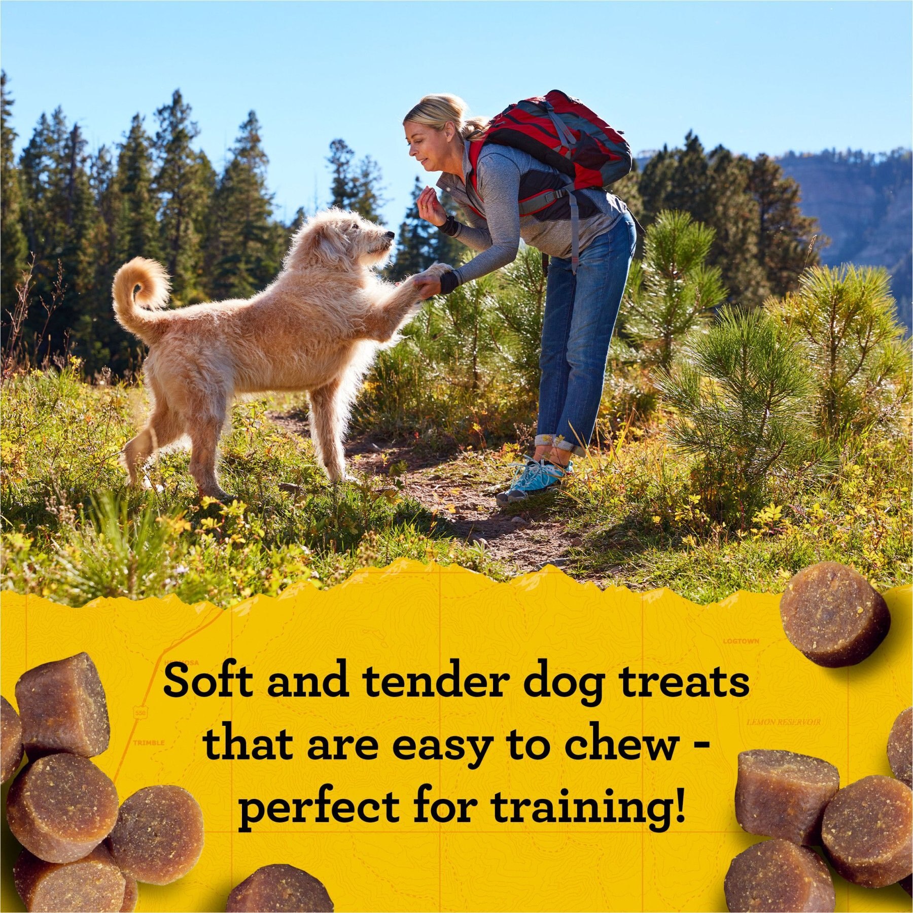 Zuke's Mini Naturals Peanut Butter & Oats Recipe Training Dog Treats