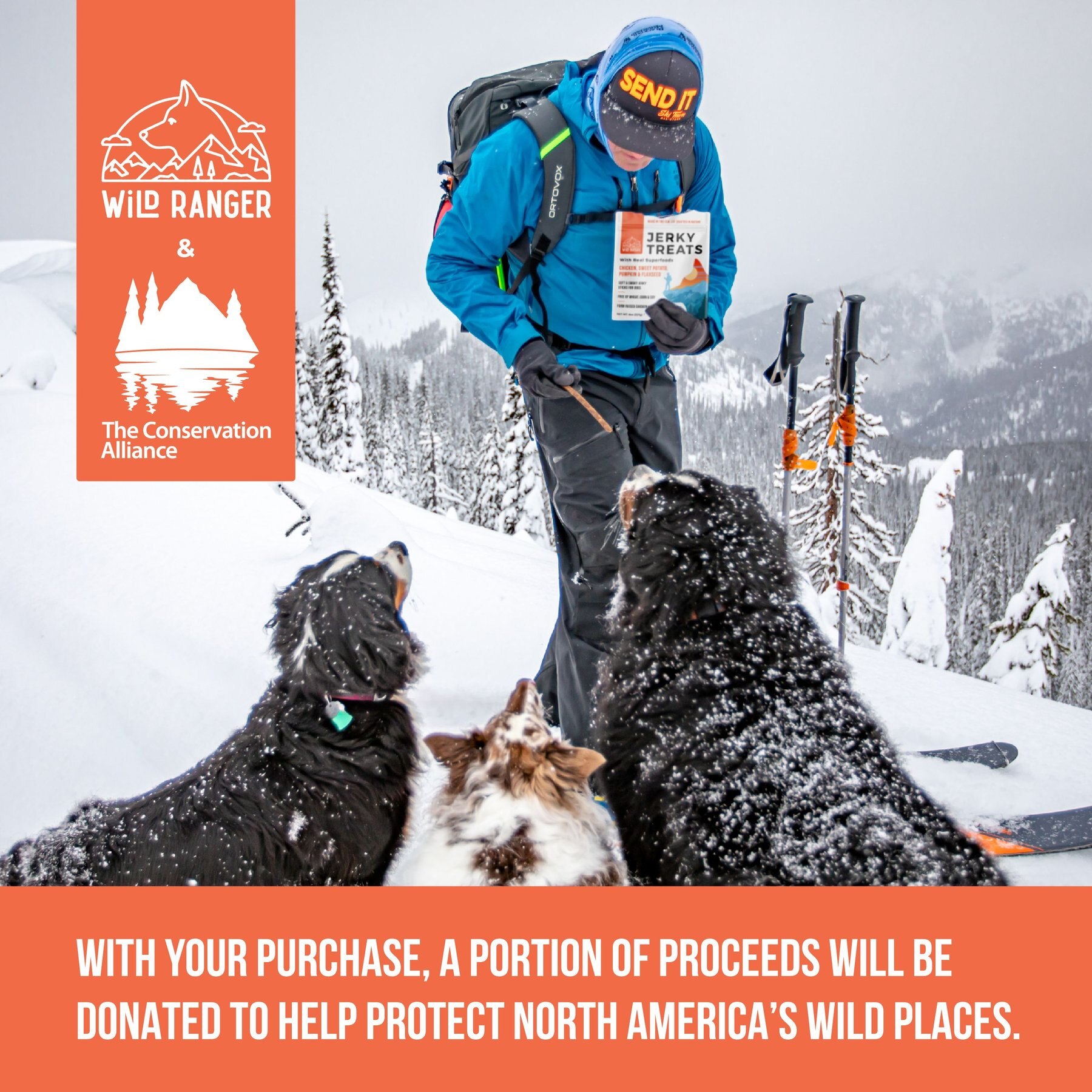 Wild Nature Chicken, Sweet Potato, Pumpkin & Flaxseed with Real Superfoods Jerky Dog Treats, 8-oz bag