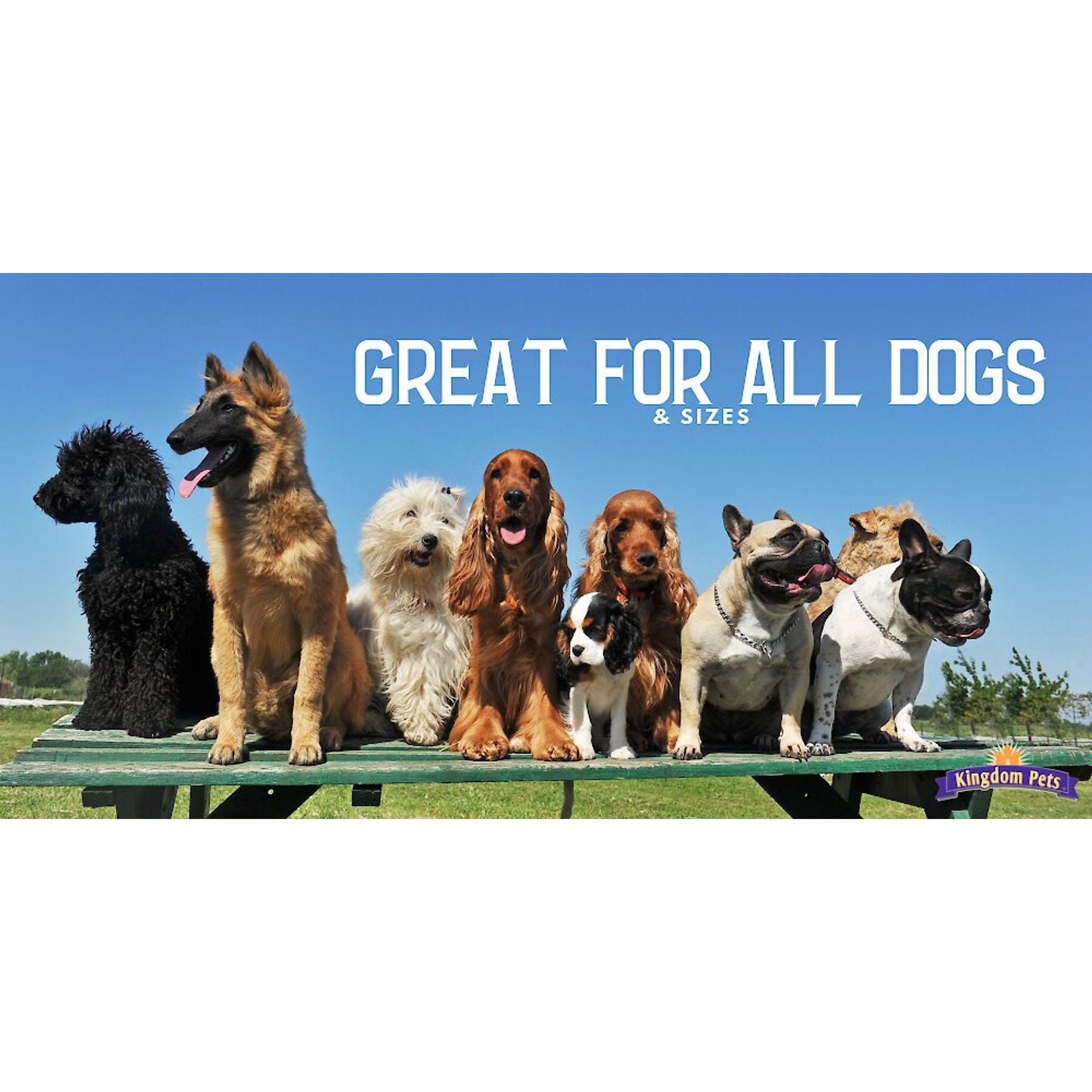 Kingdom Pets Duck & Sweet Potato Jerky Twists Dog Treats