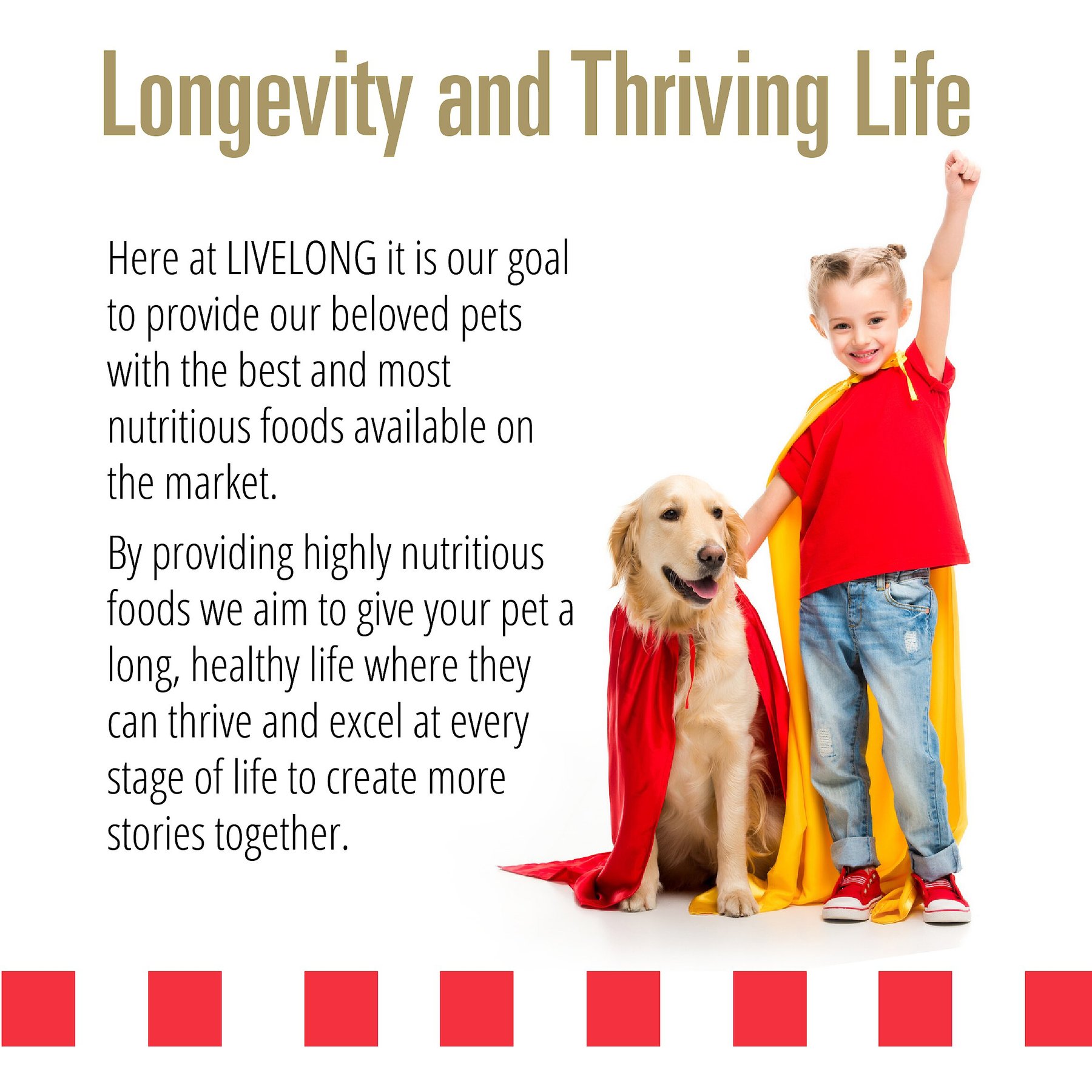 Livelong Healthy & Strong Chicken & Sweet Potato Recipe Wet Dog Food, 12.5-oz can, case of 12