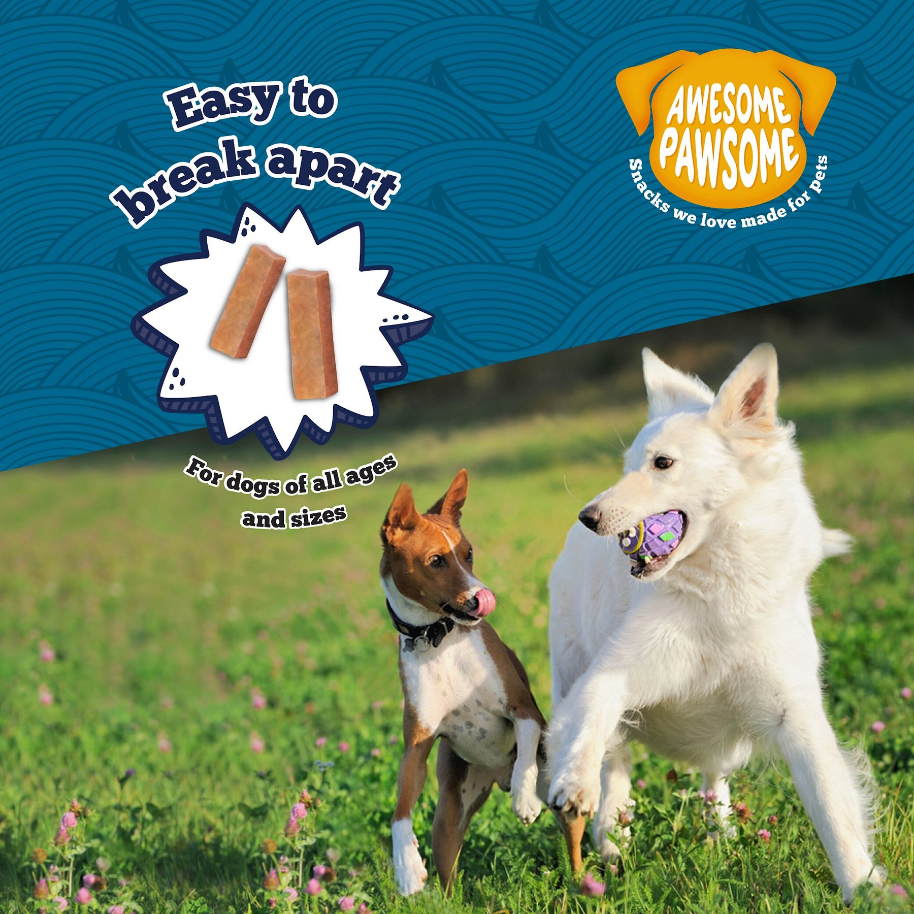 Awesome Pawsome Salmon Supreme Recipe Dog Treats, 3-oz bag