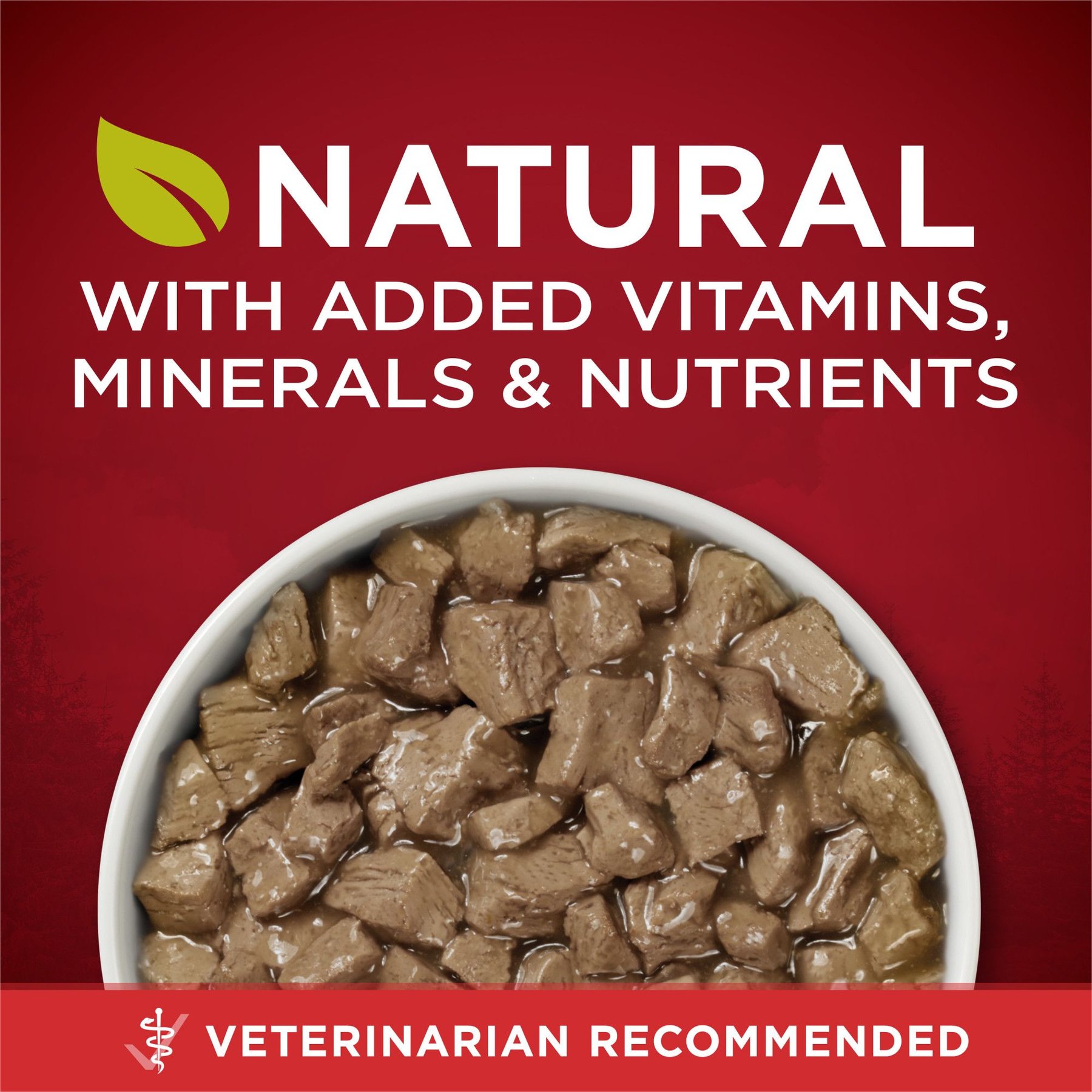 Purina ONE SmartBlend True Instinct Tender Cuts in Gravy with Real Beef & Wild-Caught Salmon Canned Dog Food