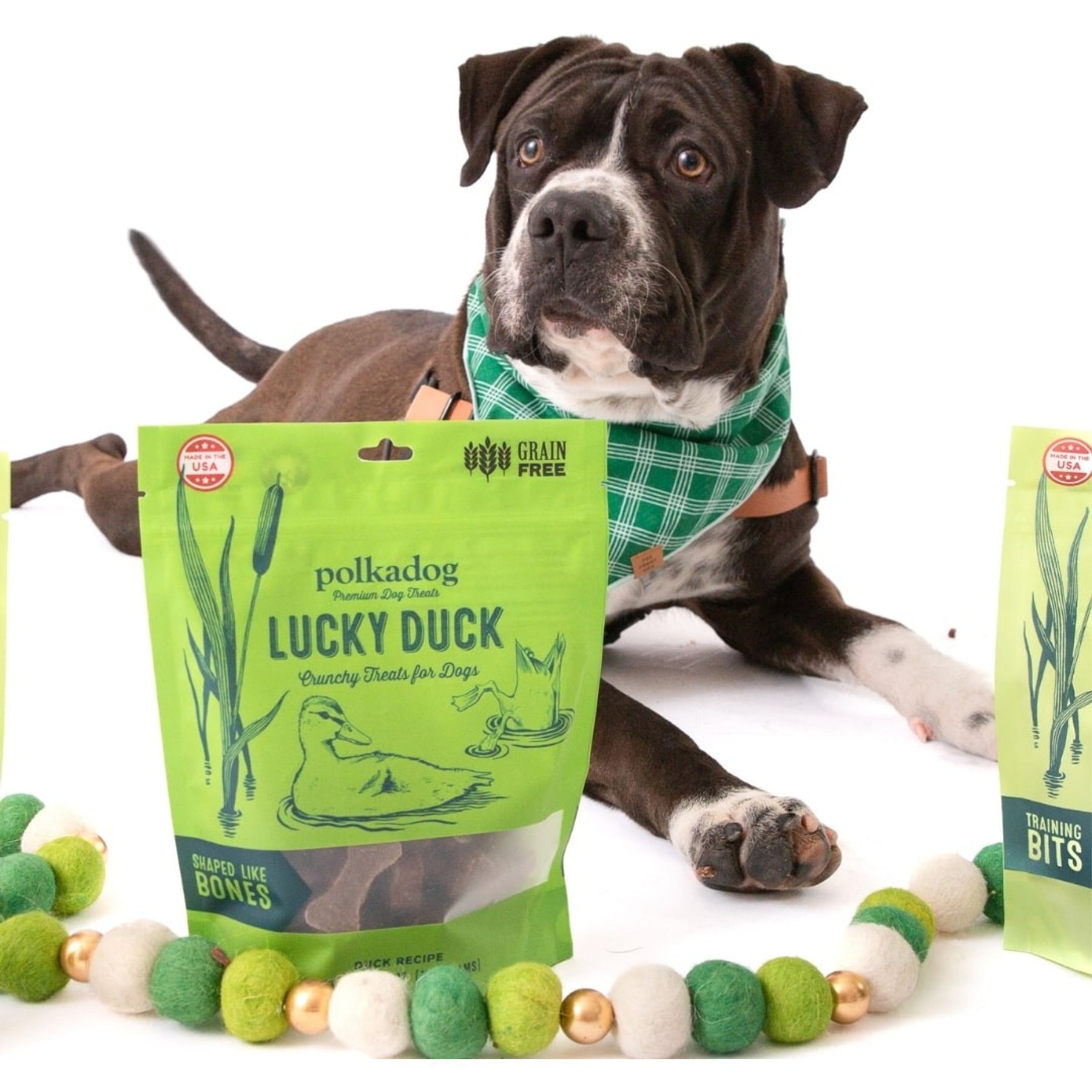 Polkadog Lucky Duck Bone Shaped Dehydrated Dog Treats
