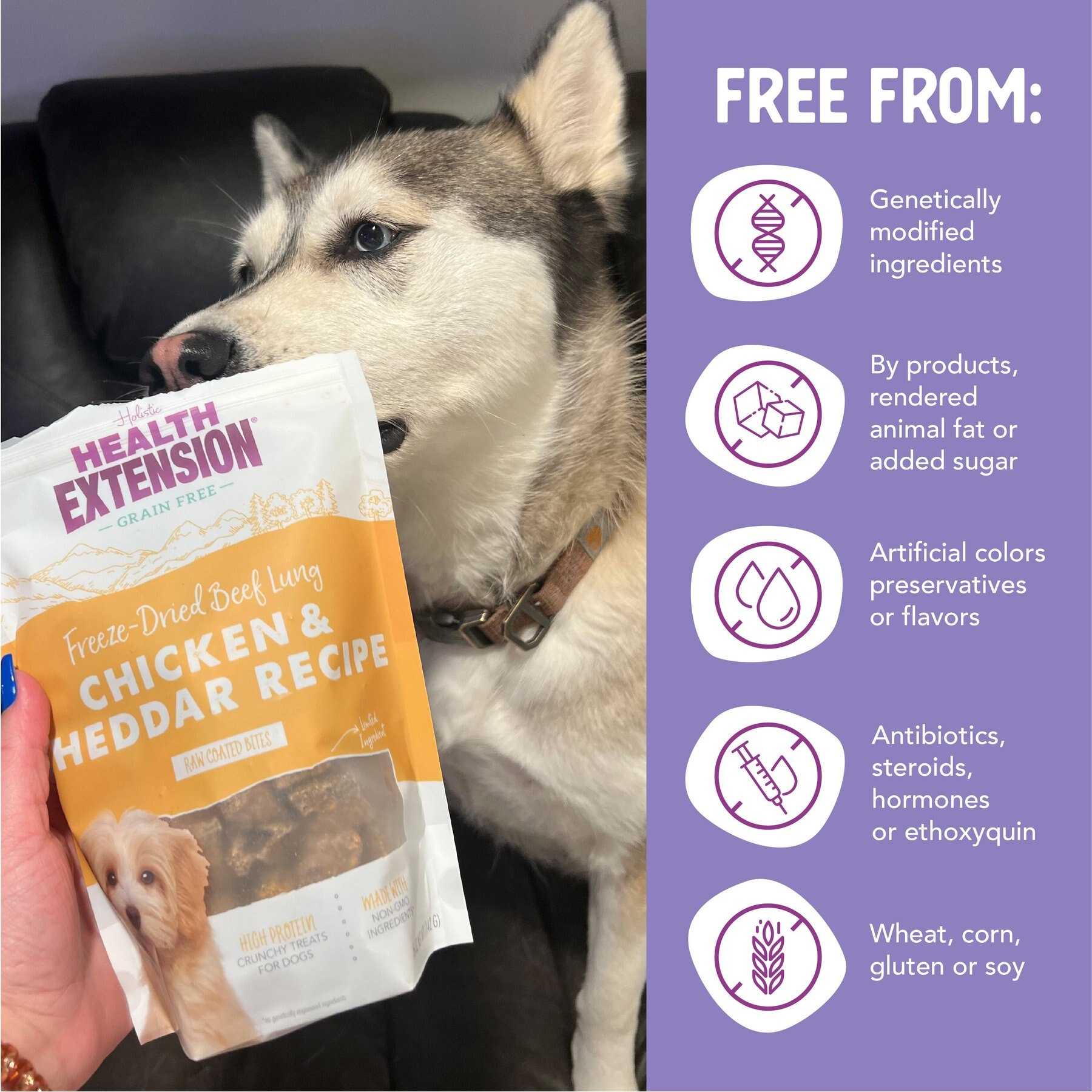Health Extension Bully Puffs Grain-Free Chicken & Cheddar Cheese Dog Treats