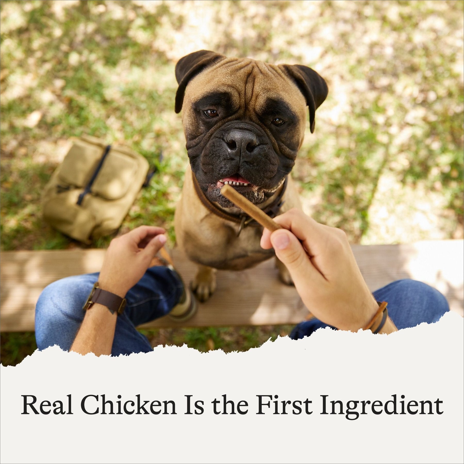 American Journey Chicken Recipe Grain-Free Soft & Chewy Snacking Sticks Dog Treats, 6-oz bag