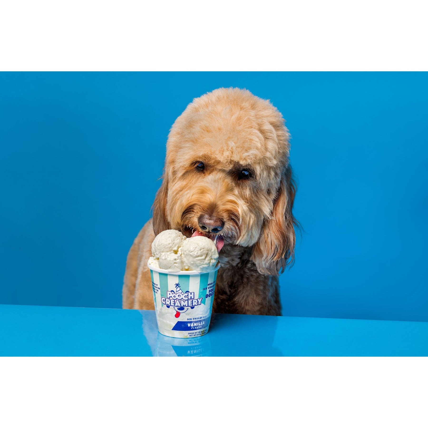 Pooch Creamery Vanilla Flavor Ice Cream Mix Dog Treat