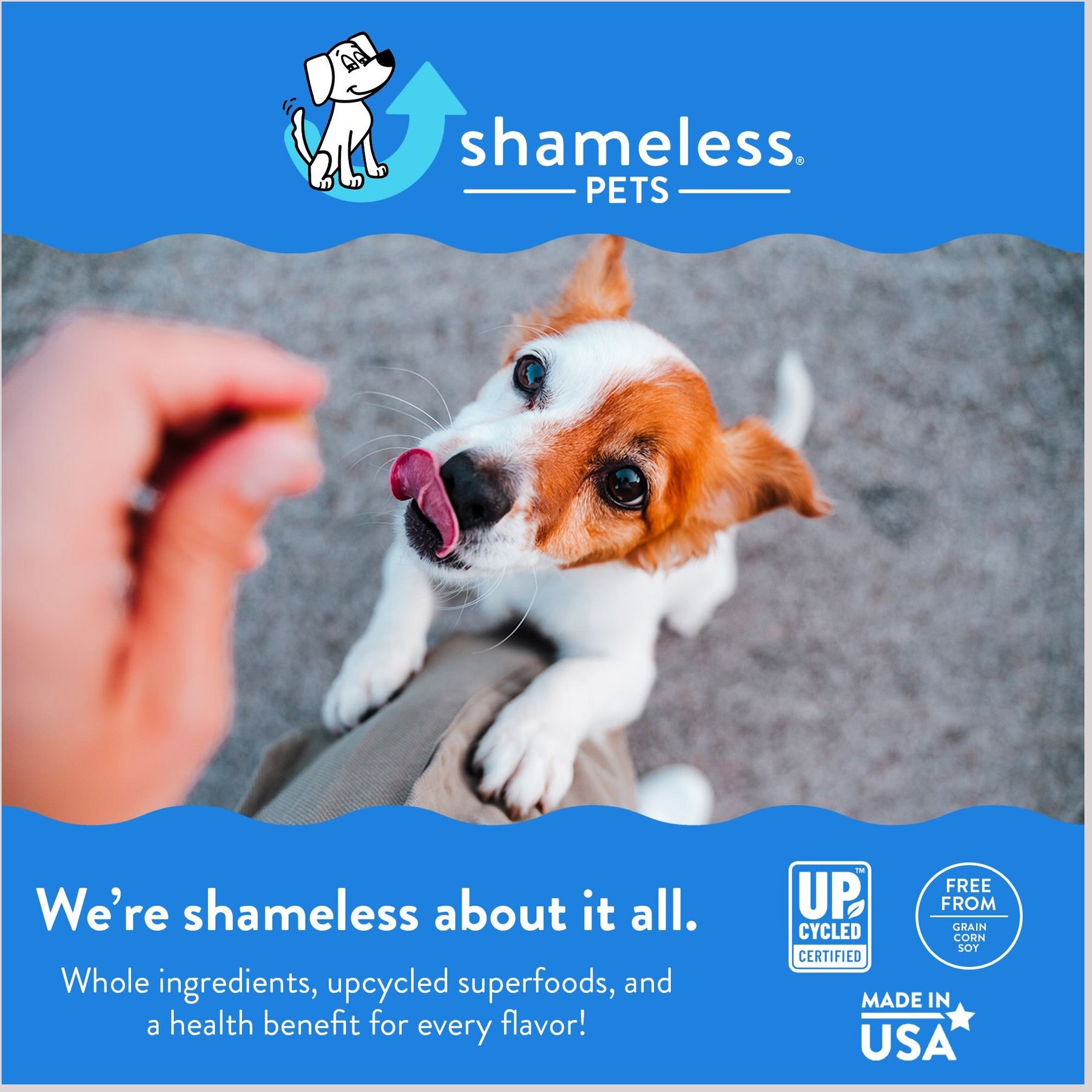 Shameless Pets Carrate Chomp Carrot & Salmon Oil Flavor Dental Dog Treats