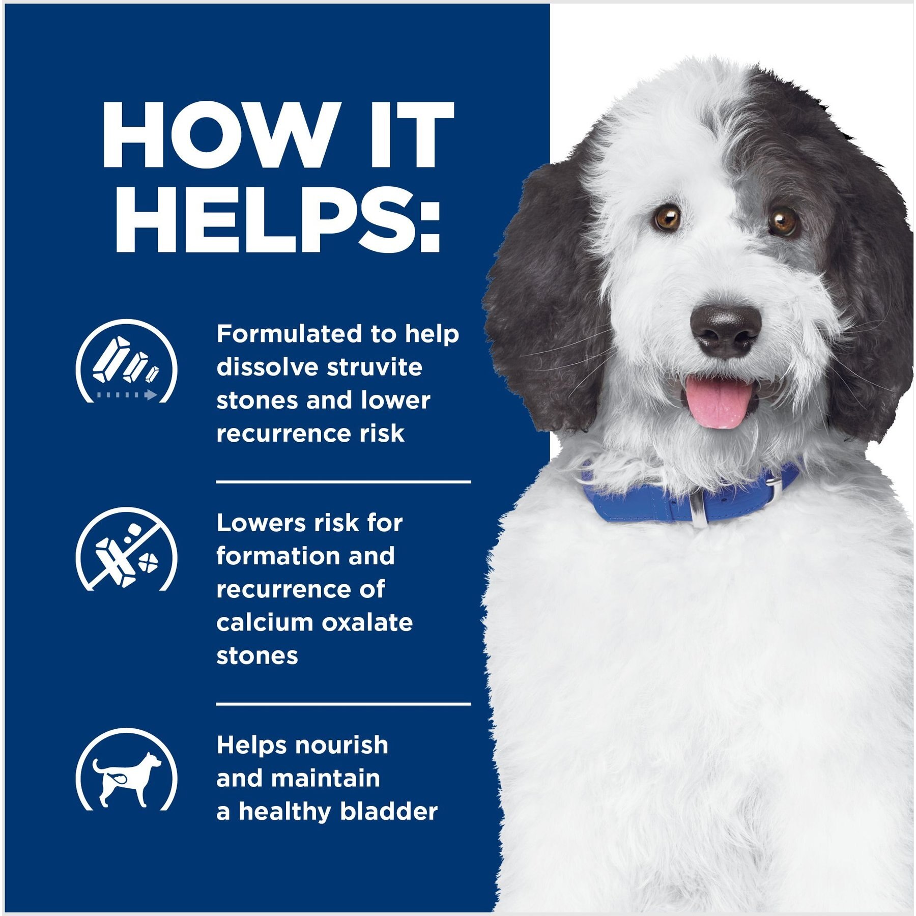Hill's Prescription Diet c/d Multicare Urinary Care Chicken & Vegetable Stew Canned Dog Food