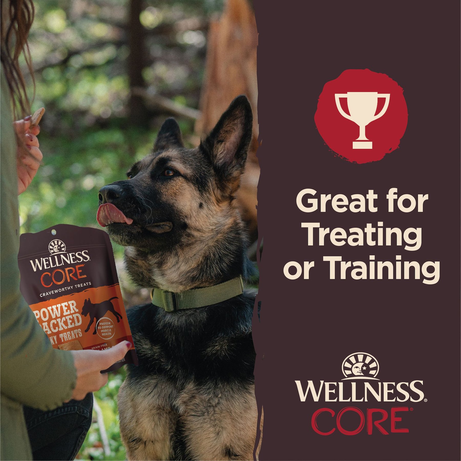 Wellness CORE Power Packed Beef Grain-Free Jerky Dog Treats