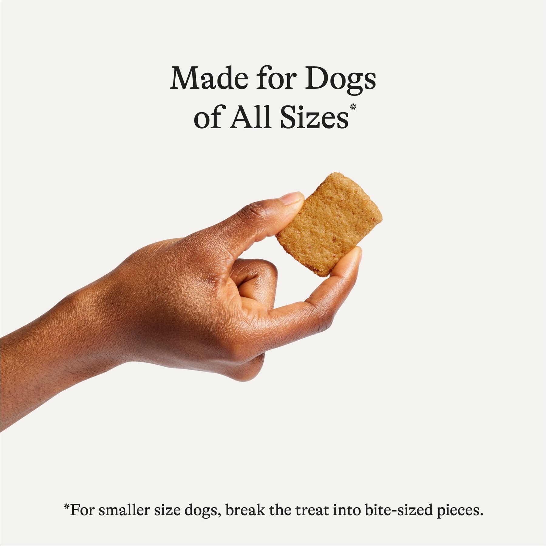 American Journey Salmon Recipe Trail Bites Grain-Free Soft & Chewy Dog Treats, 8-oz bag