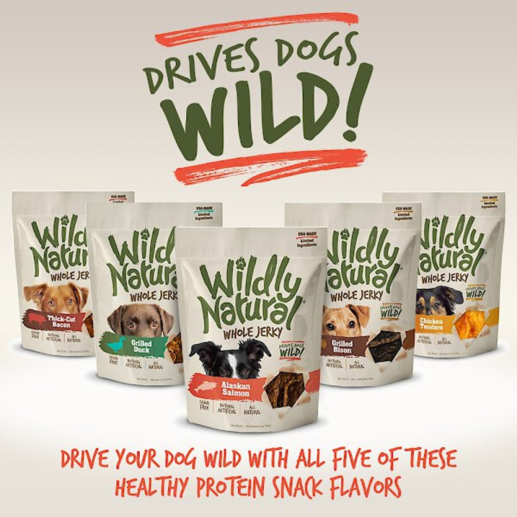 Wildly Natural Whole Jerky Alaskan Salmon Grain-Free Dog Treats, 5-oz bag