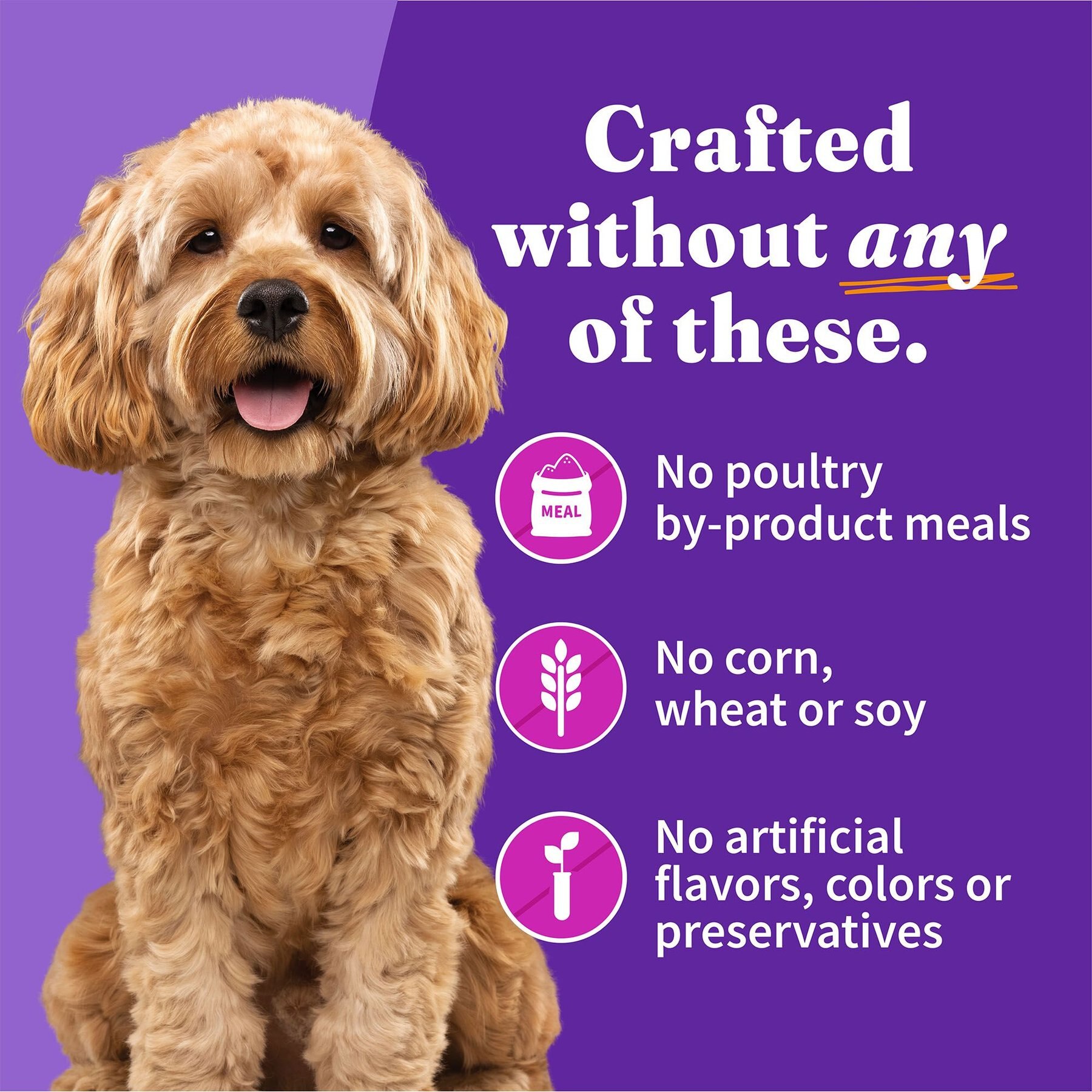 Halo Turkey & Duck Recipe Grain-Free Small Breed Canned Dog Food, 5.5-oz, case of 12