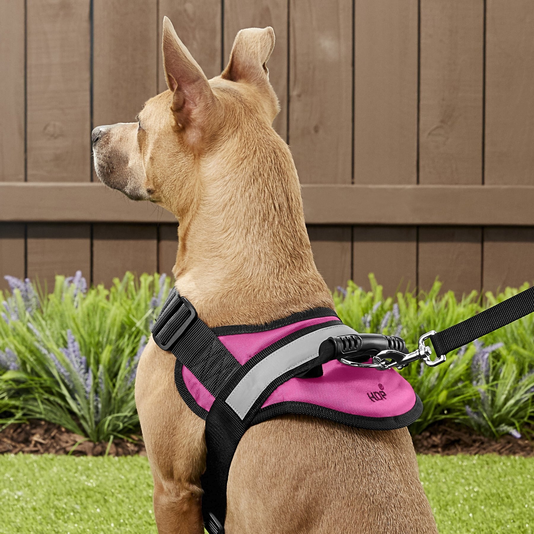 HDP Big No Pull Dog Harness Free shipping