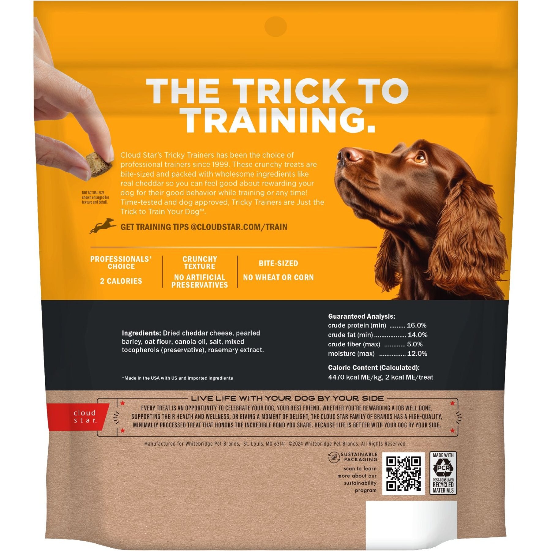 Cloud Star Crunchy Tricky Trainers Cheddar Flavor Dog Treats