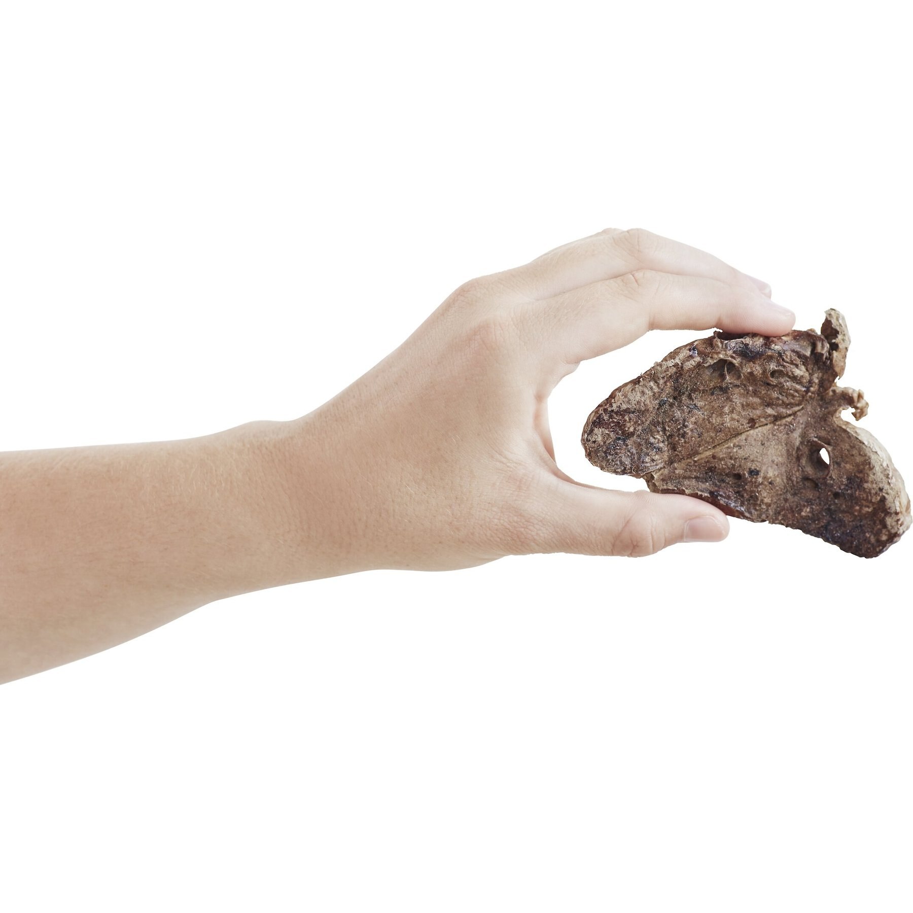 Bones & Chews All-Natural Lamb Lung Filets Dehydrated Dog Treats, 12-oz bag