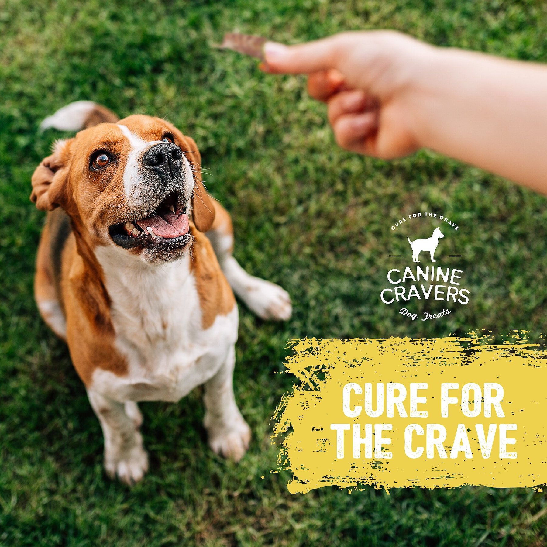 Canine Cravers Farm Fresh Chicken Dehydrated Dog Treats, 5.3-oz pouch