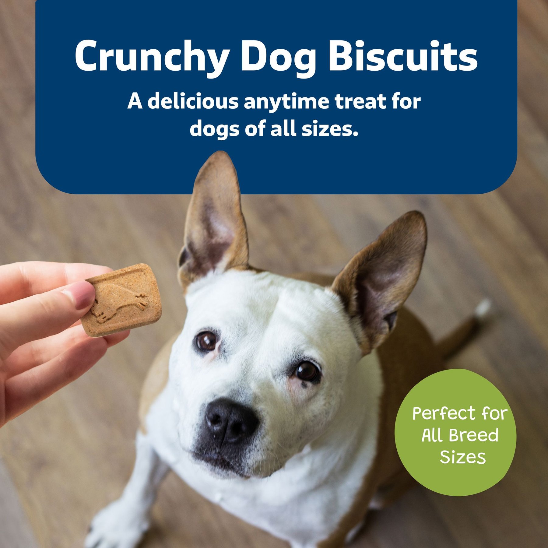 Blue Buffalo Mini Health Bars Baked Apples & Yogurt Dog Treats