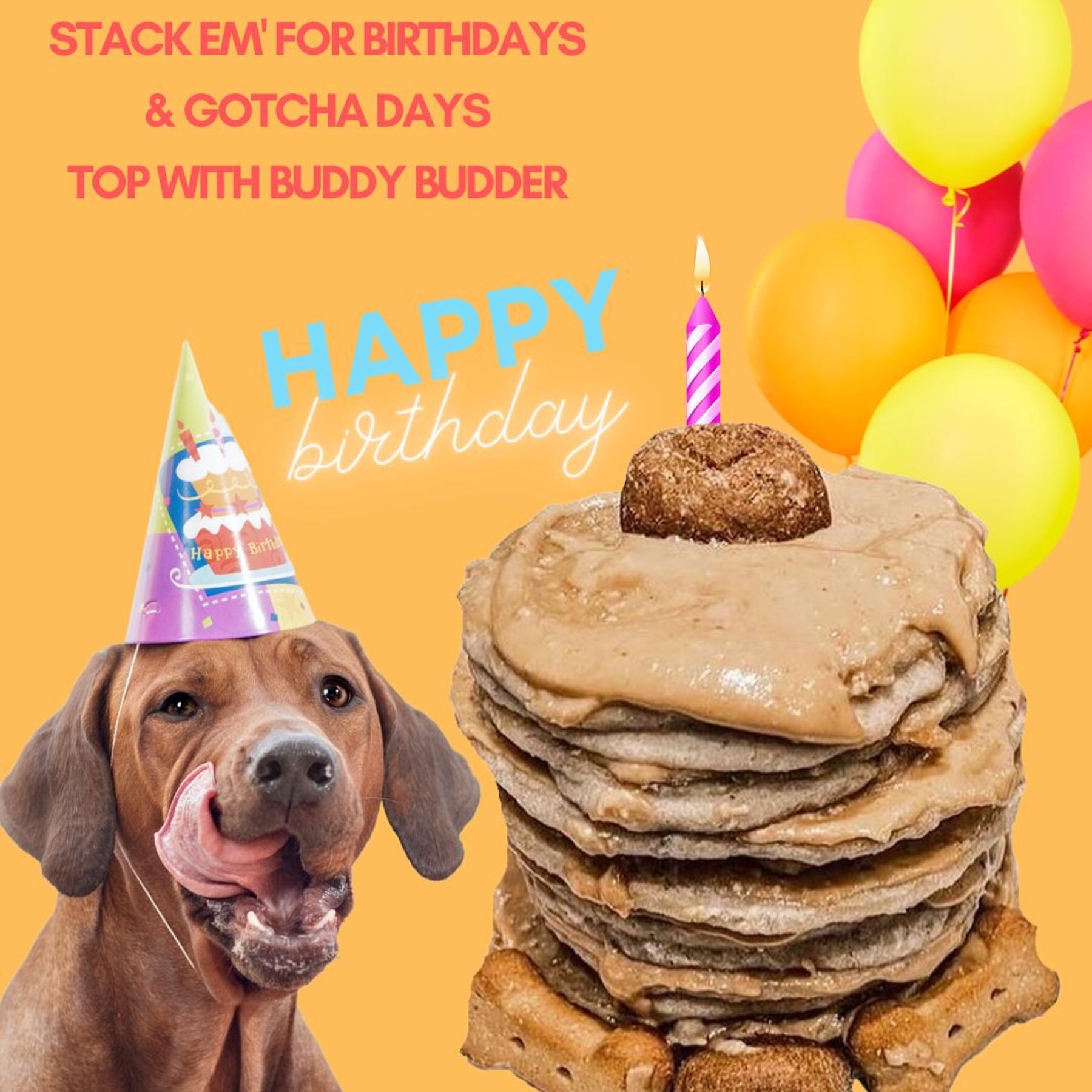 Bark Bistro Company Pooch Pancakes Barking Banana Dog Treat, 14-oz bag