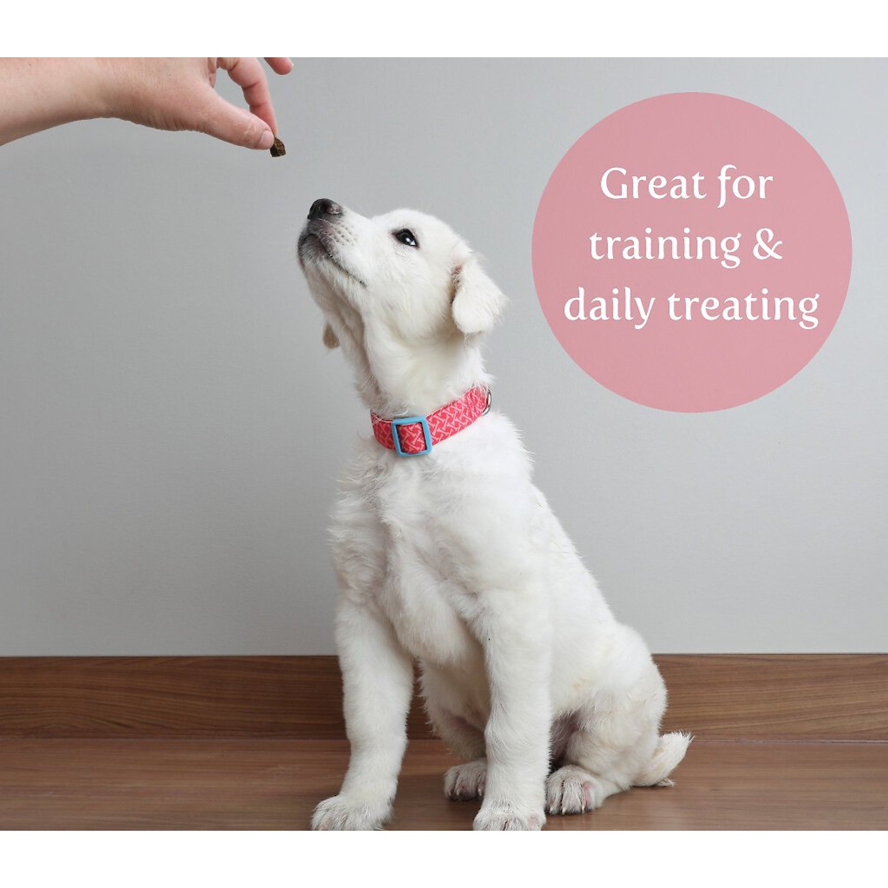 Exclusively Dog Best Buddy Bits Beef & Liver Flavor Dog Treats