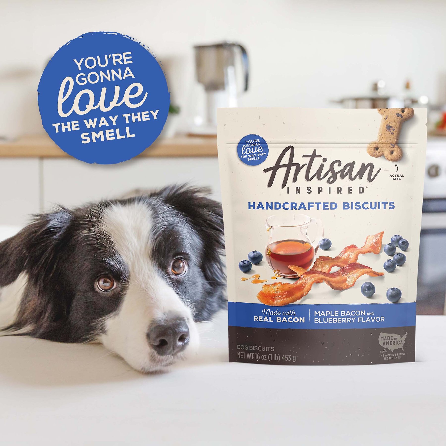 Artisan Inspired Maple Bacon & Blueberry Flavor Biscuits Dog Treats, 16-oz bag