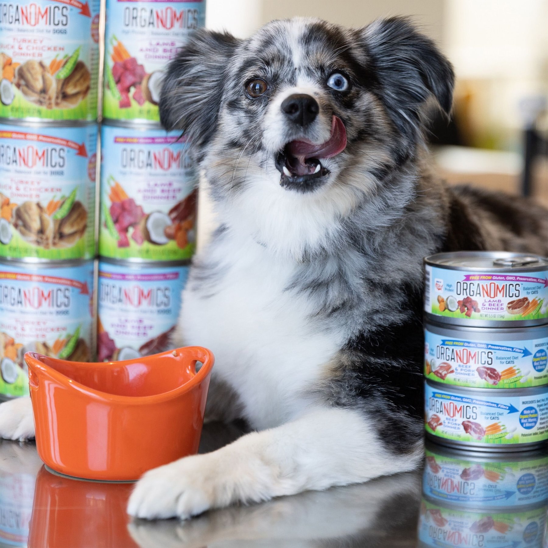 OrgaNOMics Turkey, Duck & Chicken Dinner Grain-Free Pate Wet Dog Food