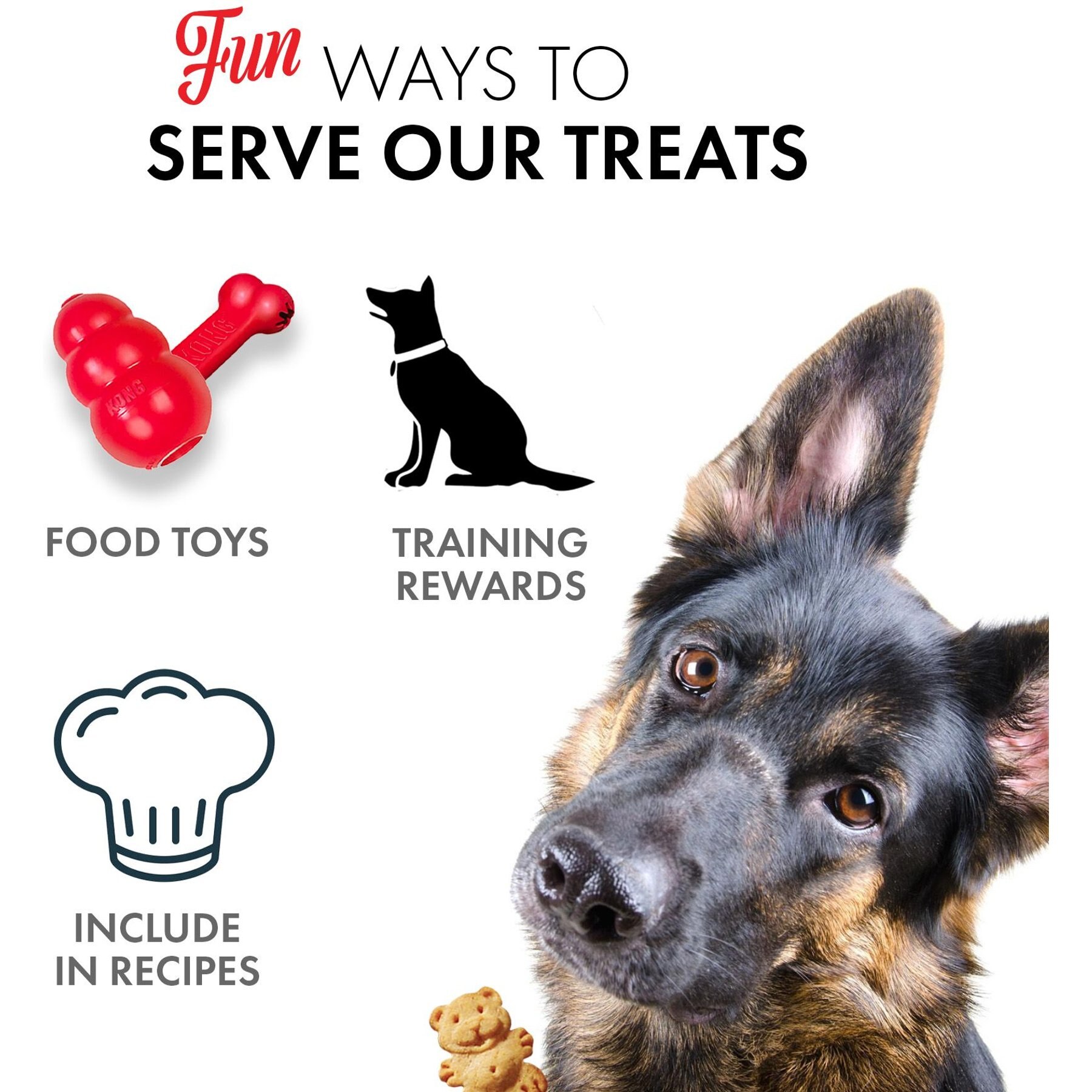 Grandma Lucy's Organic Blueberry Oven Baked Dog Treats