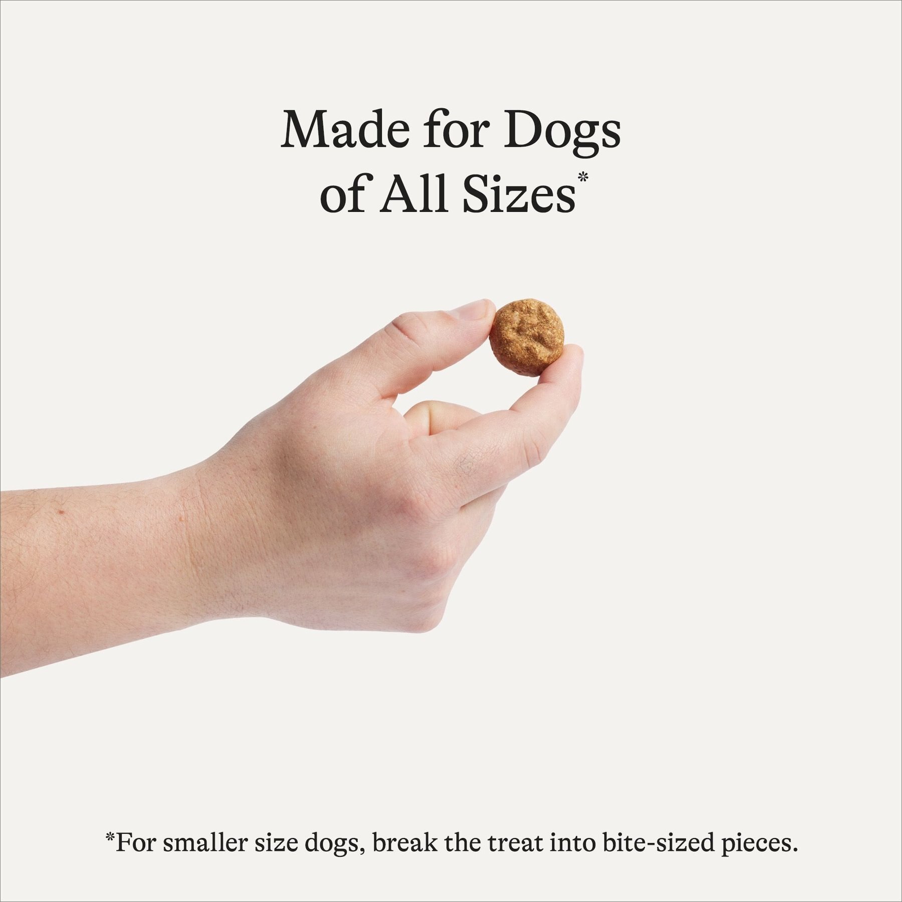 American Journey Lamb Recipe Grain-Free Oven Baked Crunchy Biscuit Dog Treats