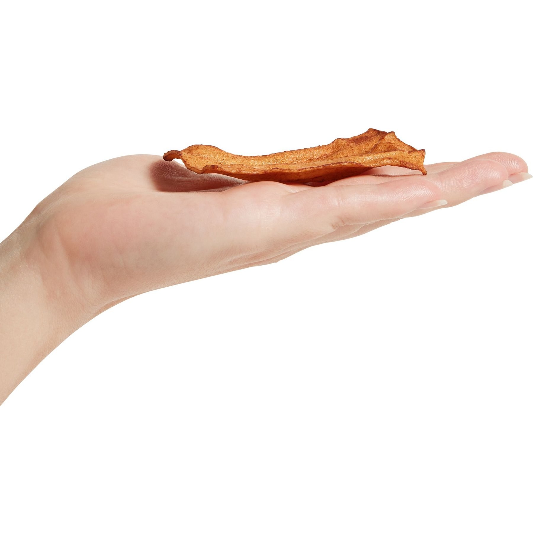 Canine's Choice DogLicious Beef Flavored Chips Rawhide Dog Treats, 3-oz bag