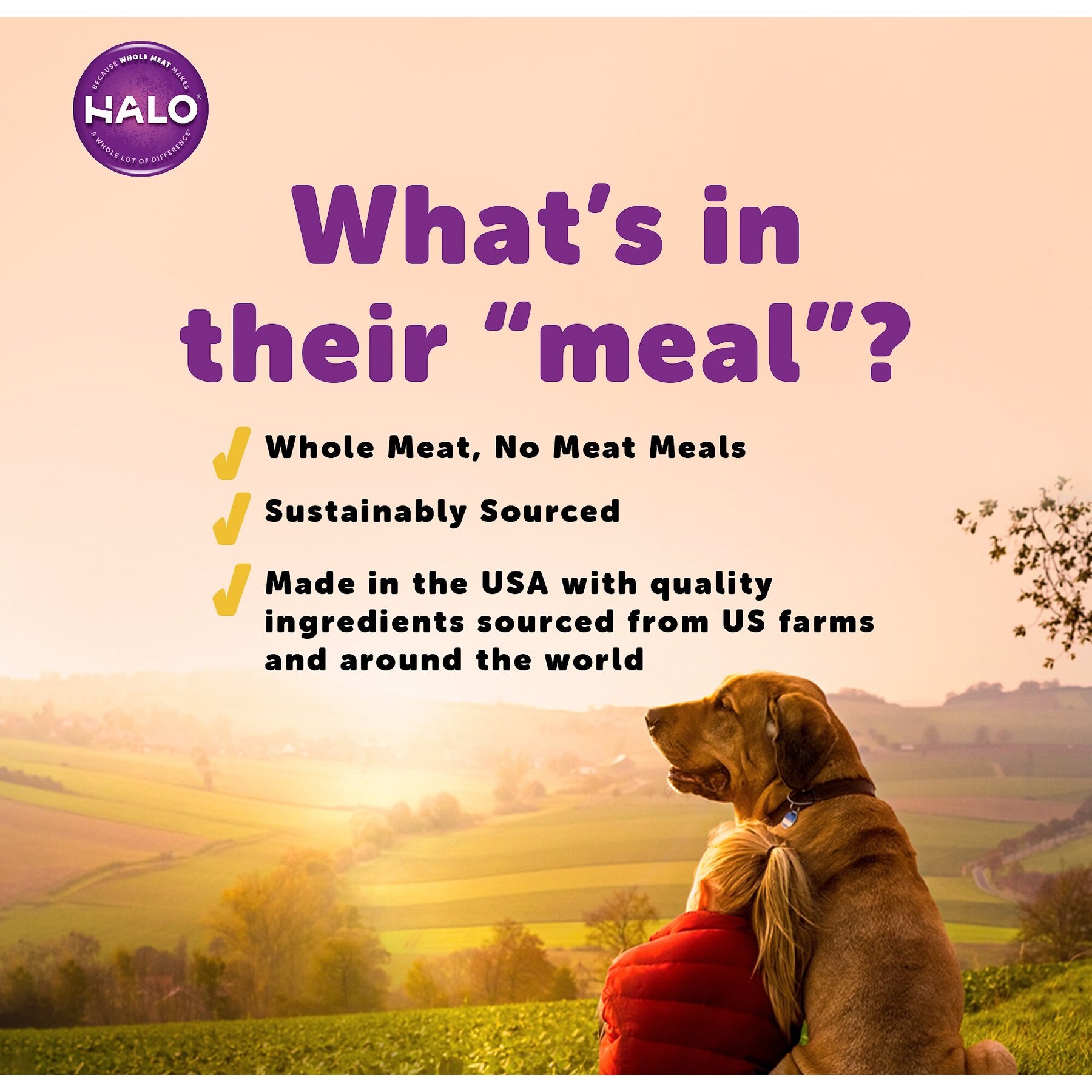 Halo Lamb Stew Adult Canned Dog Food