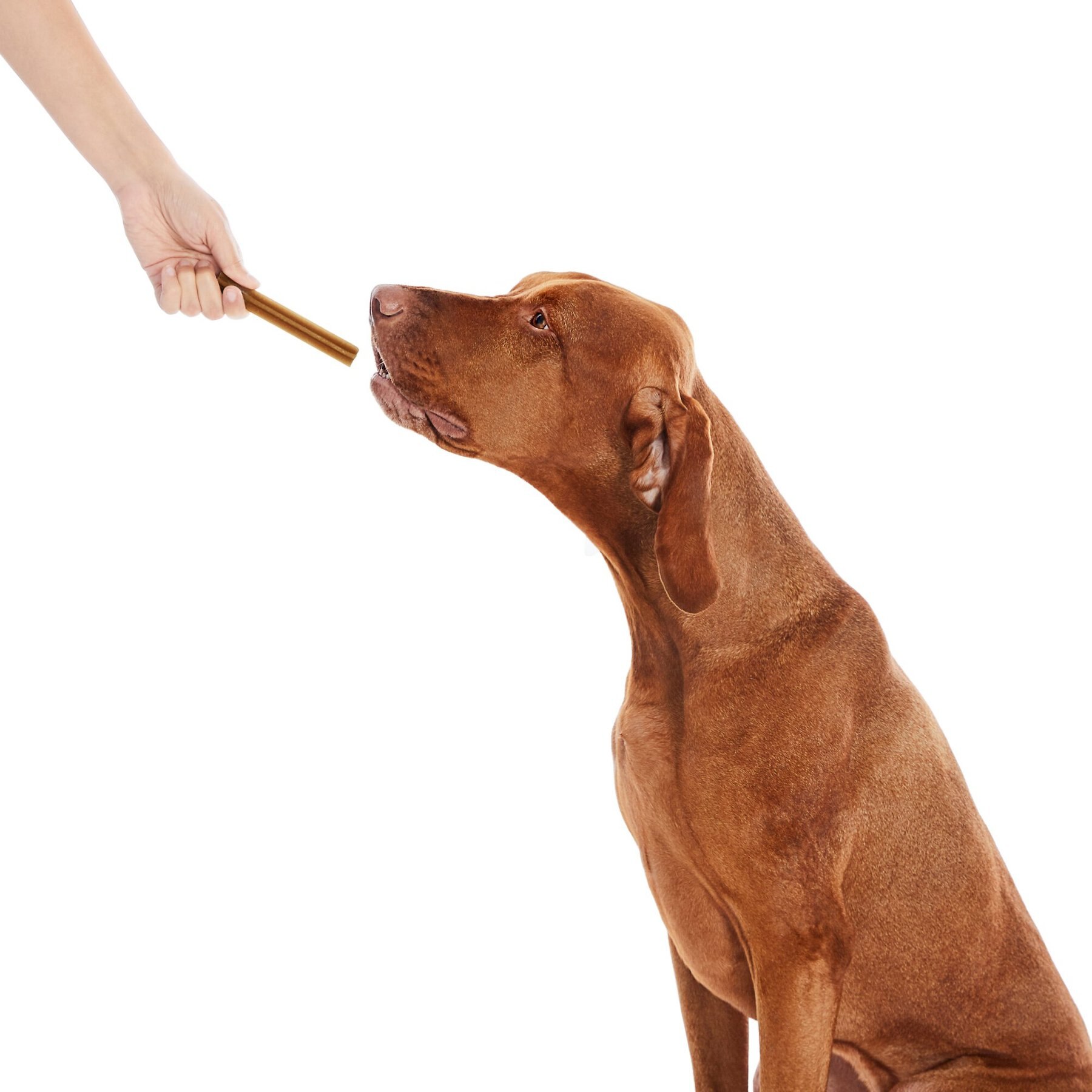 True Acre Foods All-Natural Dental Chew Sticks, Original Flavor