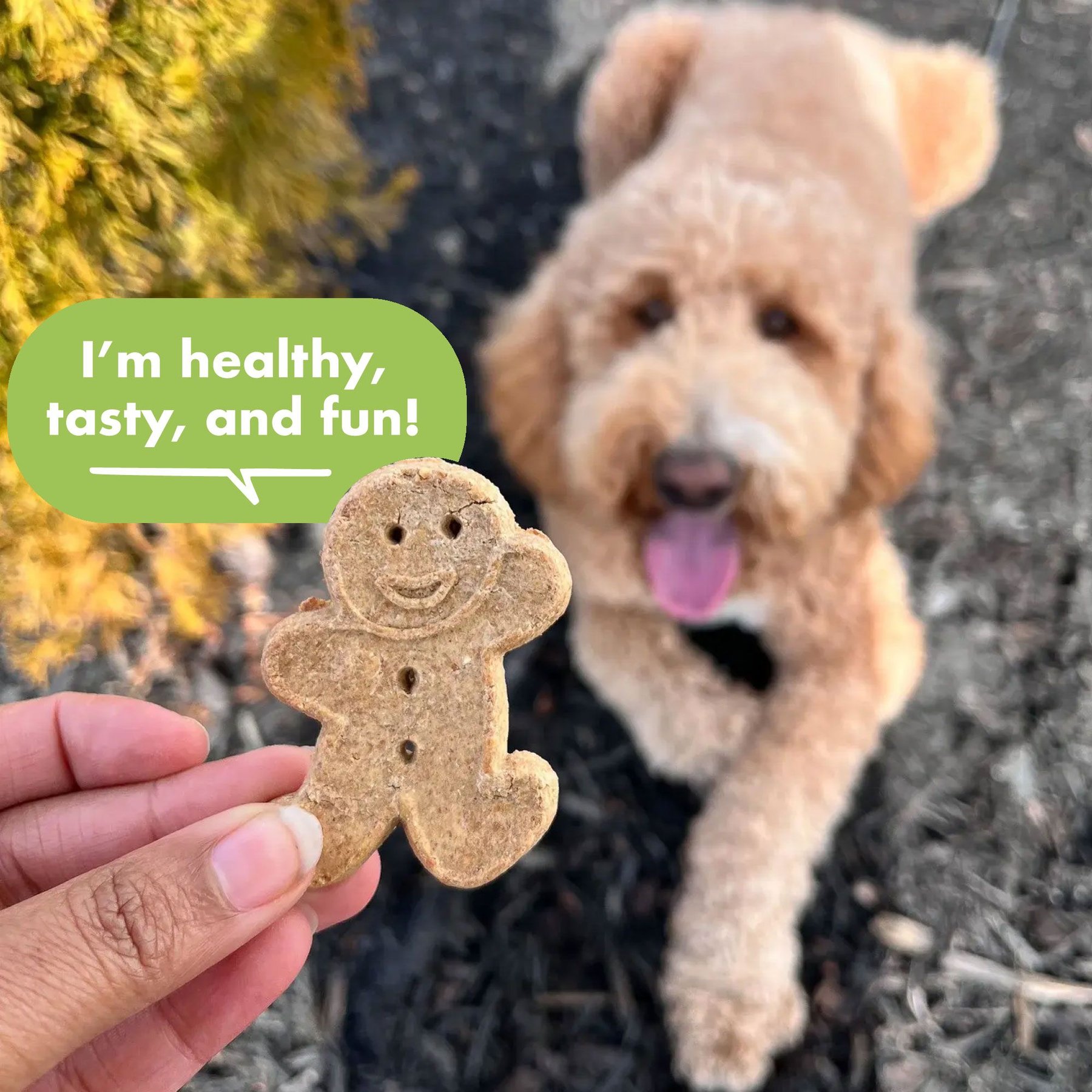 Buddy Biscuits Grain-Free Oven Baked with Rotisserie Chicken Dog Treats